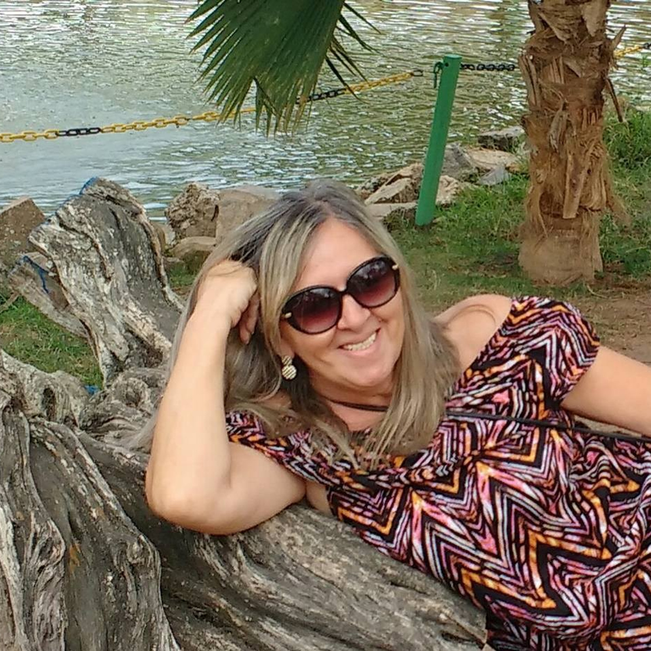 Comentarios. Elisveiga