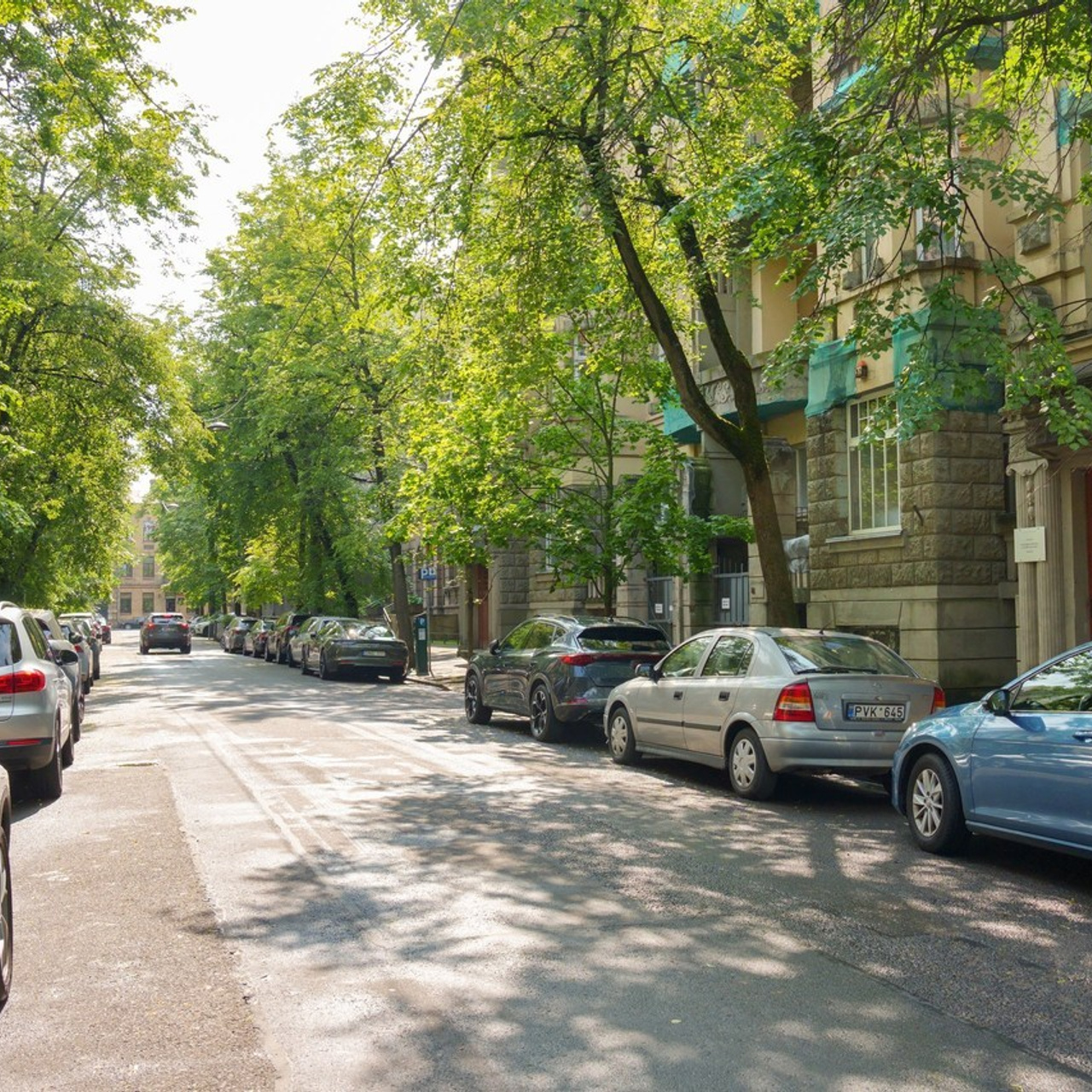 Geri atsiliepimai apie fotografo darbą. Elina Sapiega fotografė Vilniuje