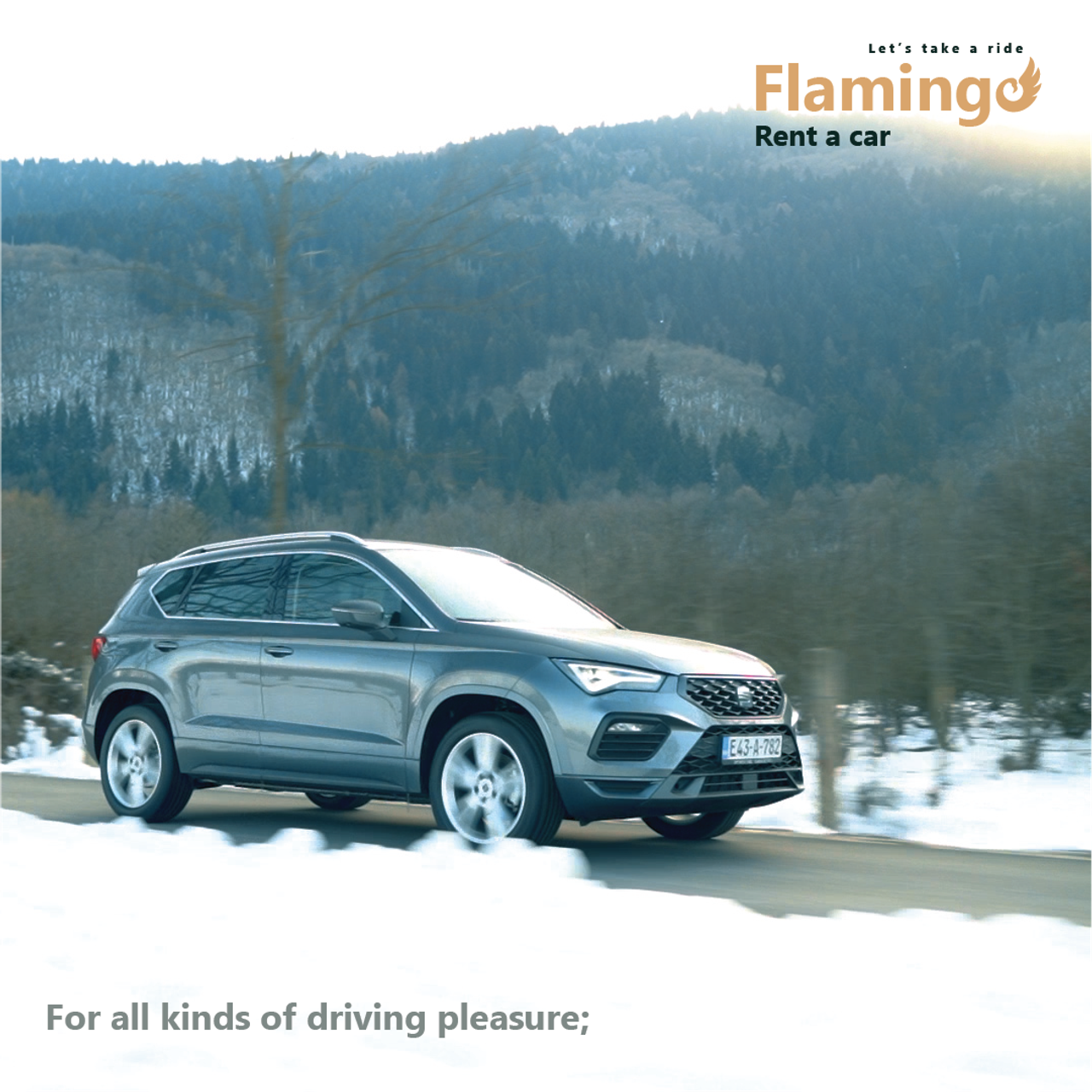 FLAMINGO RENT A CAR