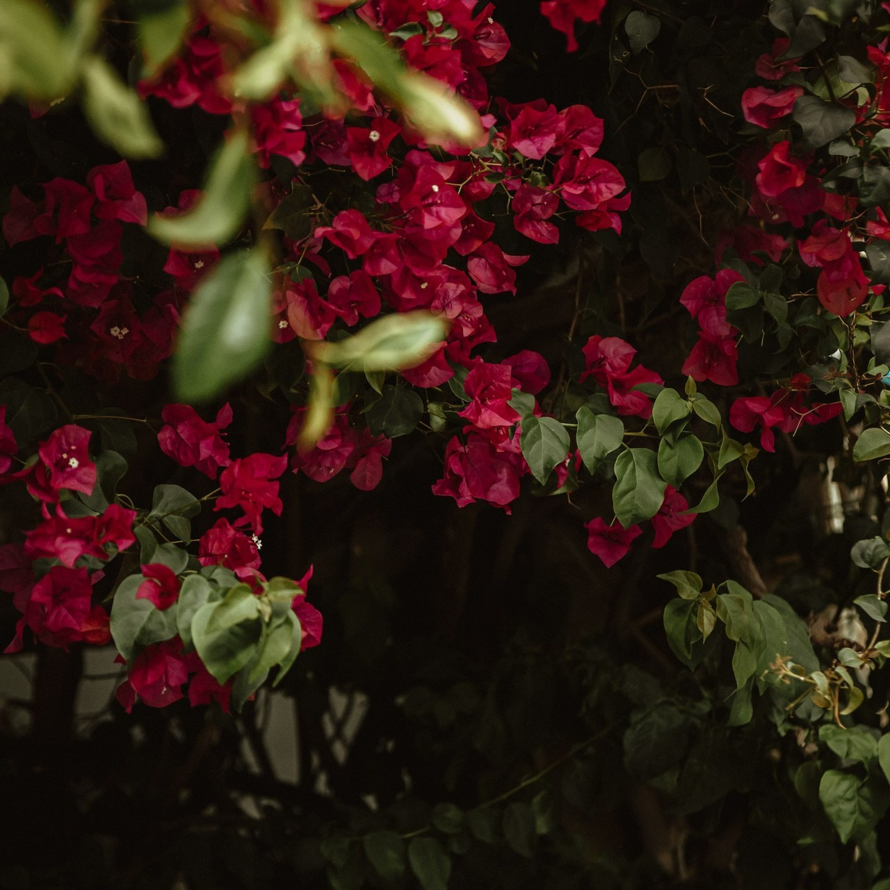 Отзывы и мнения о моих фотосессиях (в Израиле и не только). Fashion photographer Natalia Litvinova