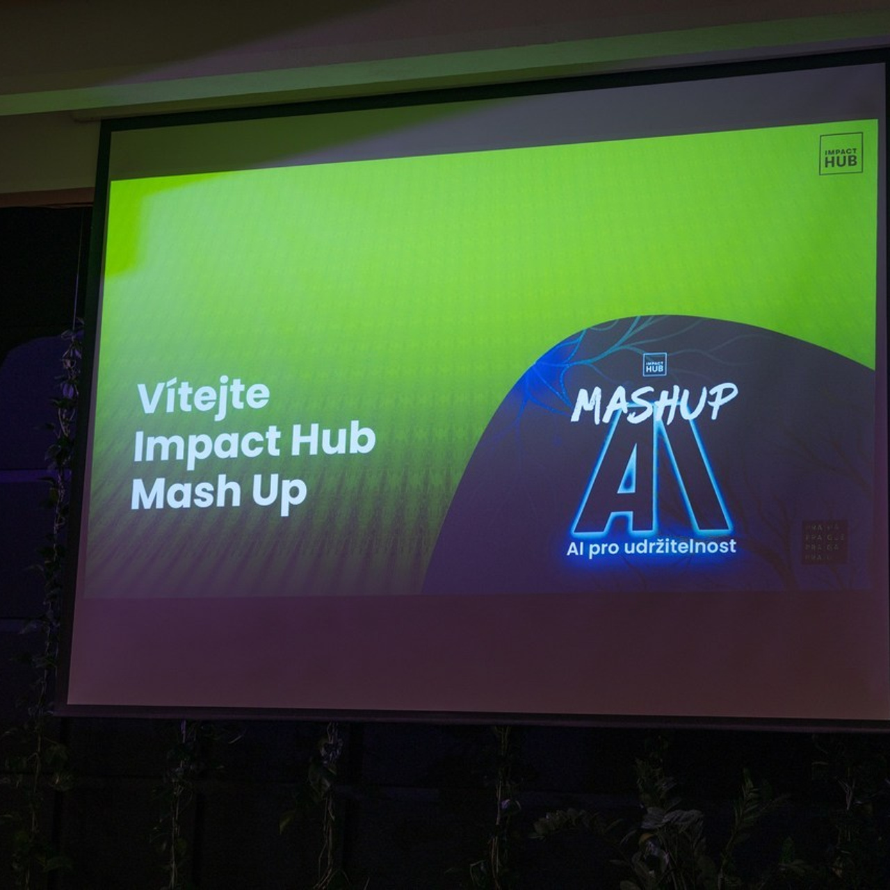 Review. Dana Lišková — Empathetic Photographer | Introspective Artist |Neurodivergent Coach | Founder of Artepy.cz