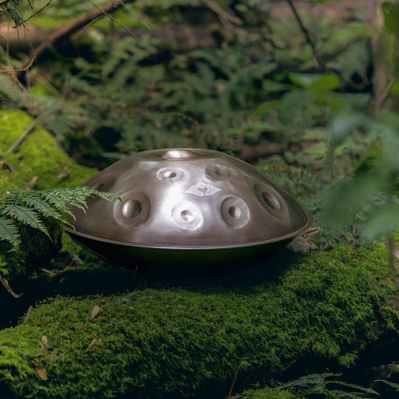 Review. Dana Lišková — Empathetic Photographer | Introspective Artist |Neurodivergent Coach | Founder of Artepy.cz