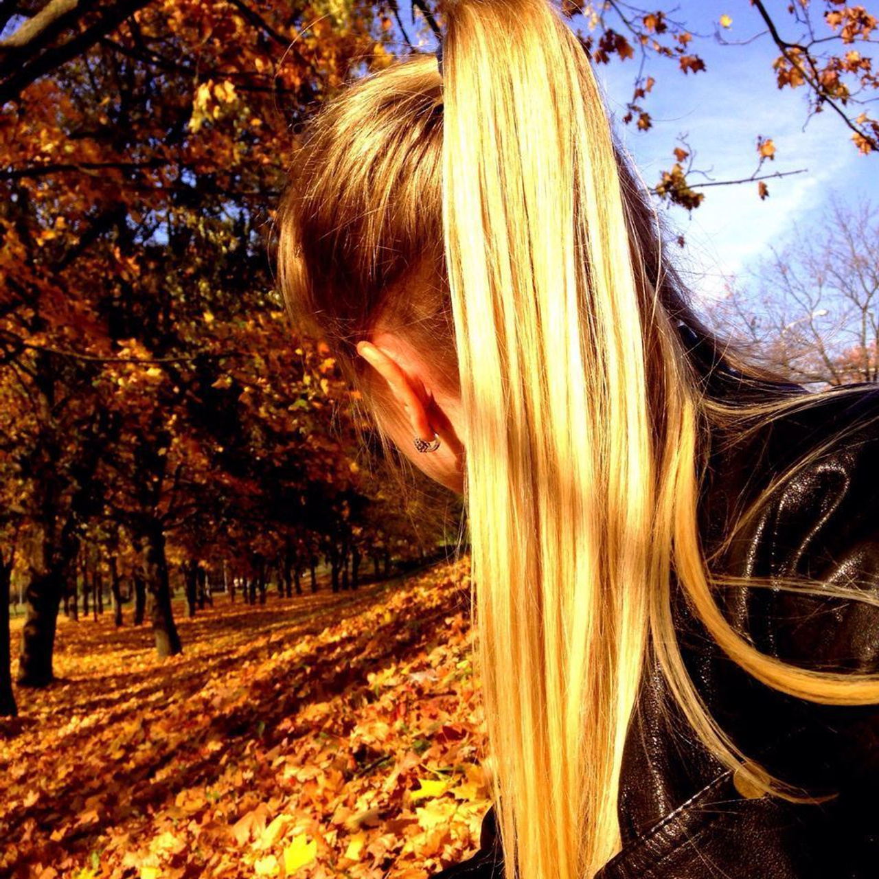 Reviews. צלם אלכס ברט בישראל