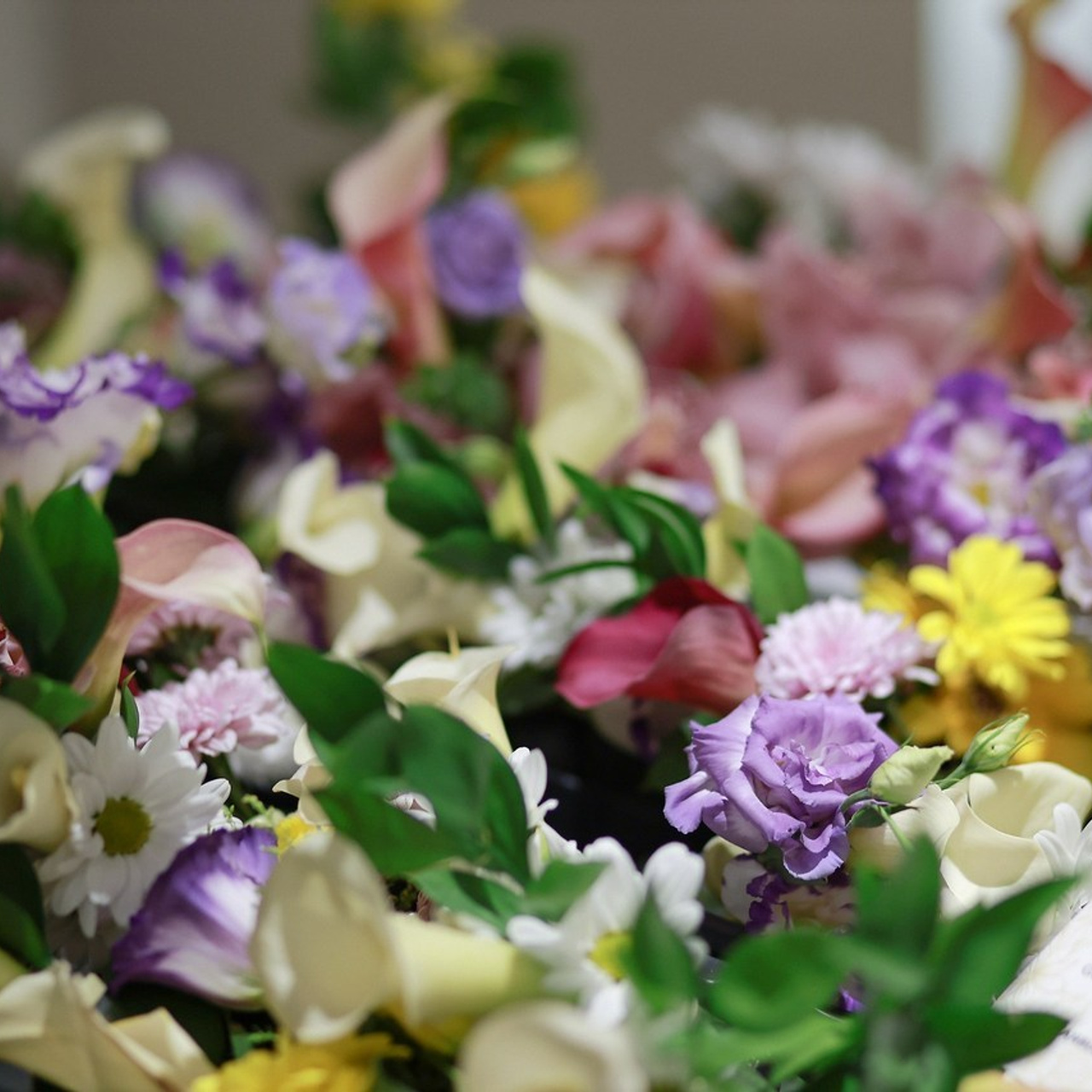 REVIEWS. Valerıya Efremova Photographer Barcelona