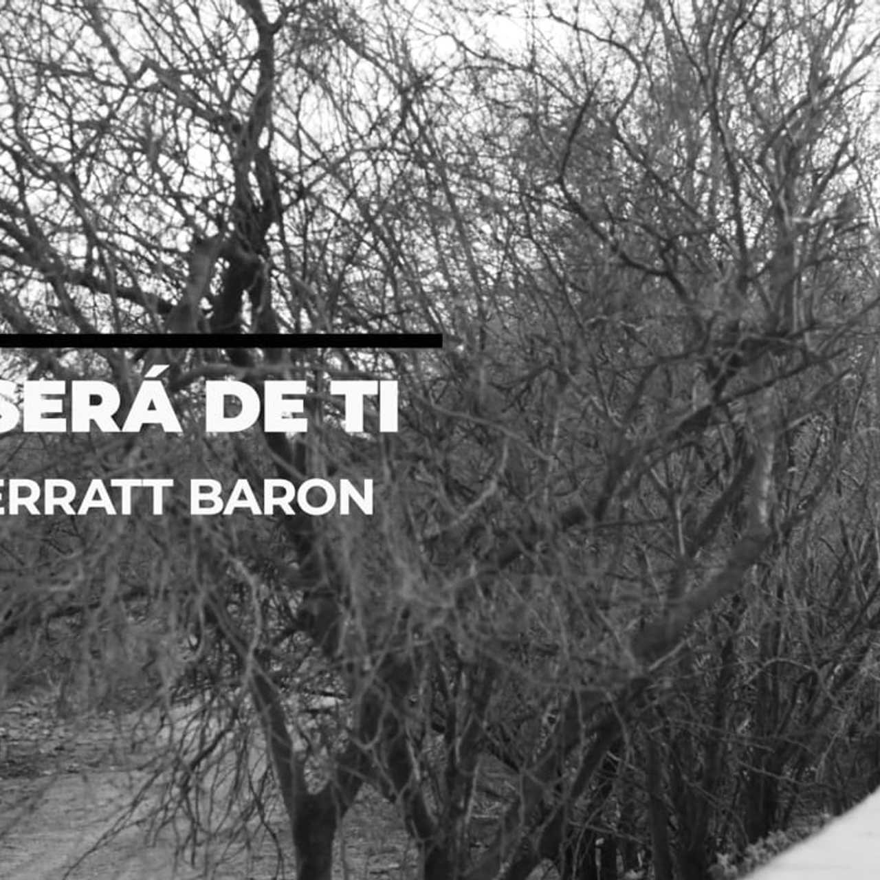 Videoclips Musicales