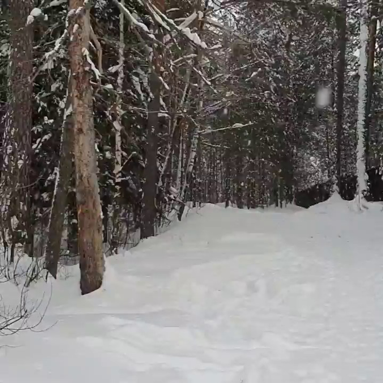 Отзвыв Эльвиры Сабировой на риртрит выходного дня «42 часа тишины». Change4Life: медитации, выгорание, мягкие навыки, ретриты