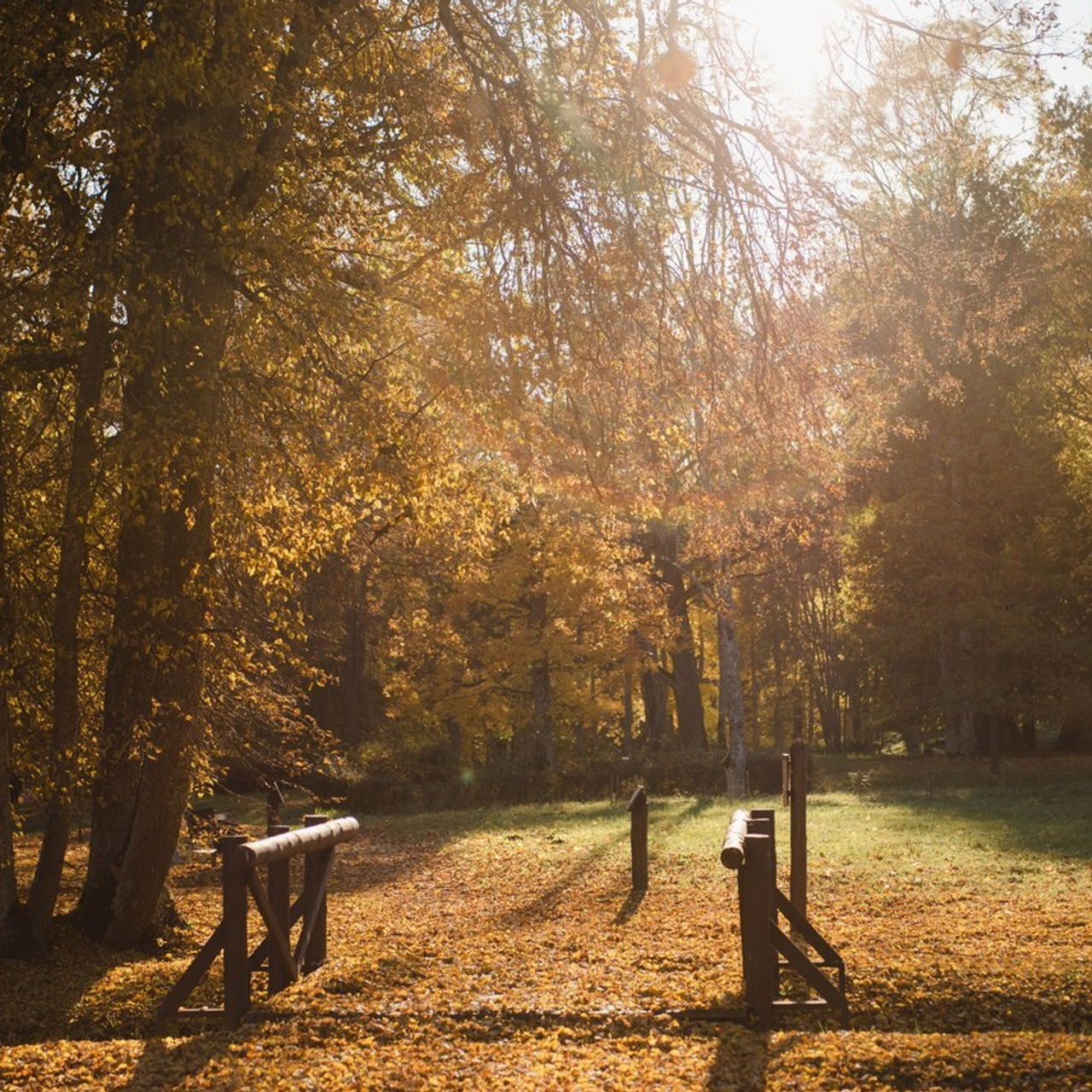 Отзывы. Главная