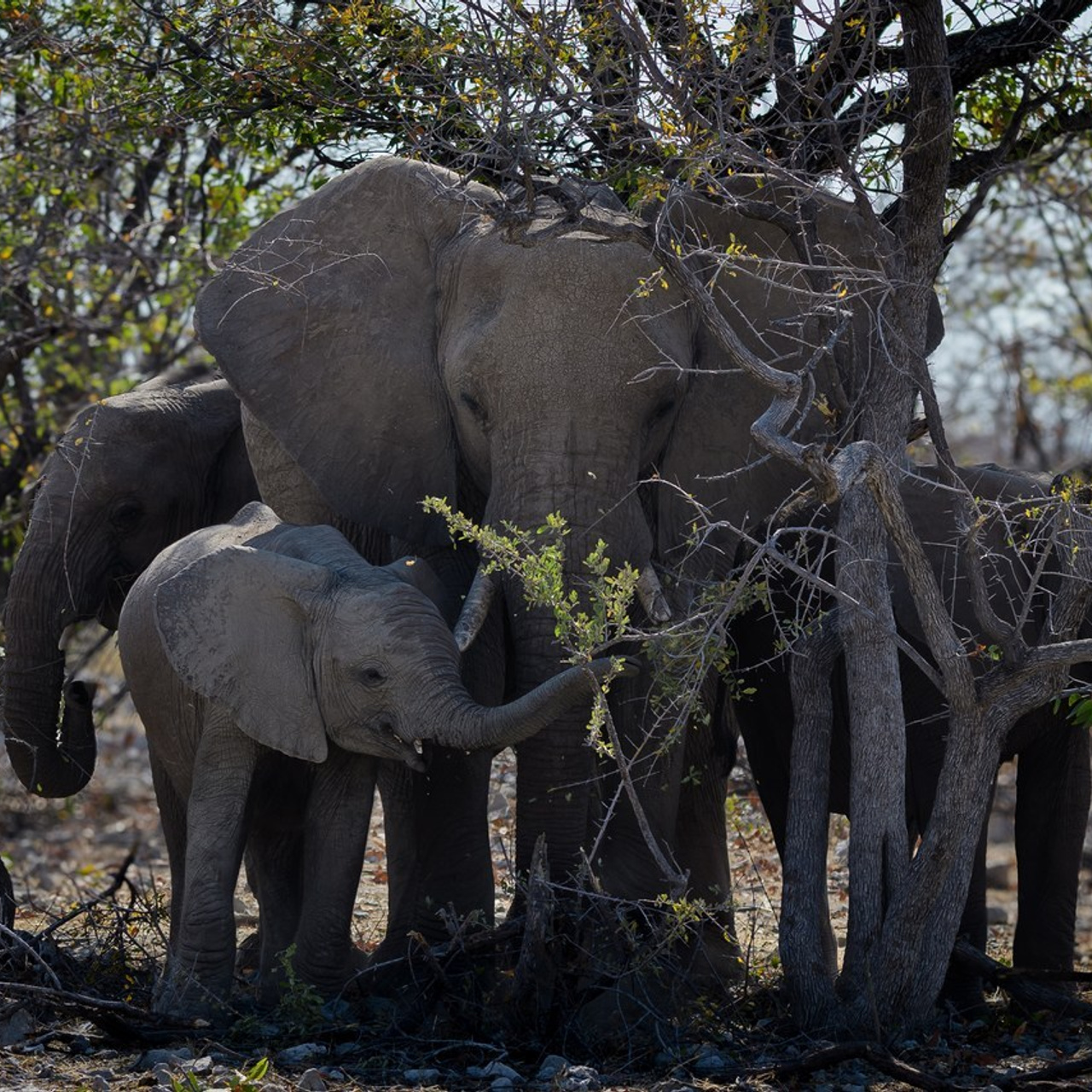 Referenzen. Klausenburg Photography