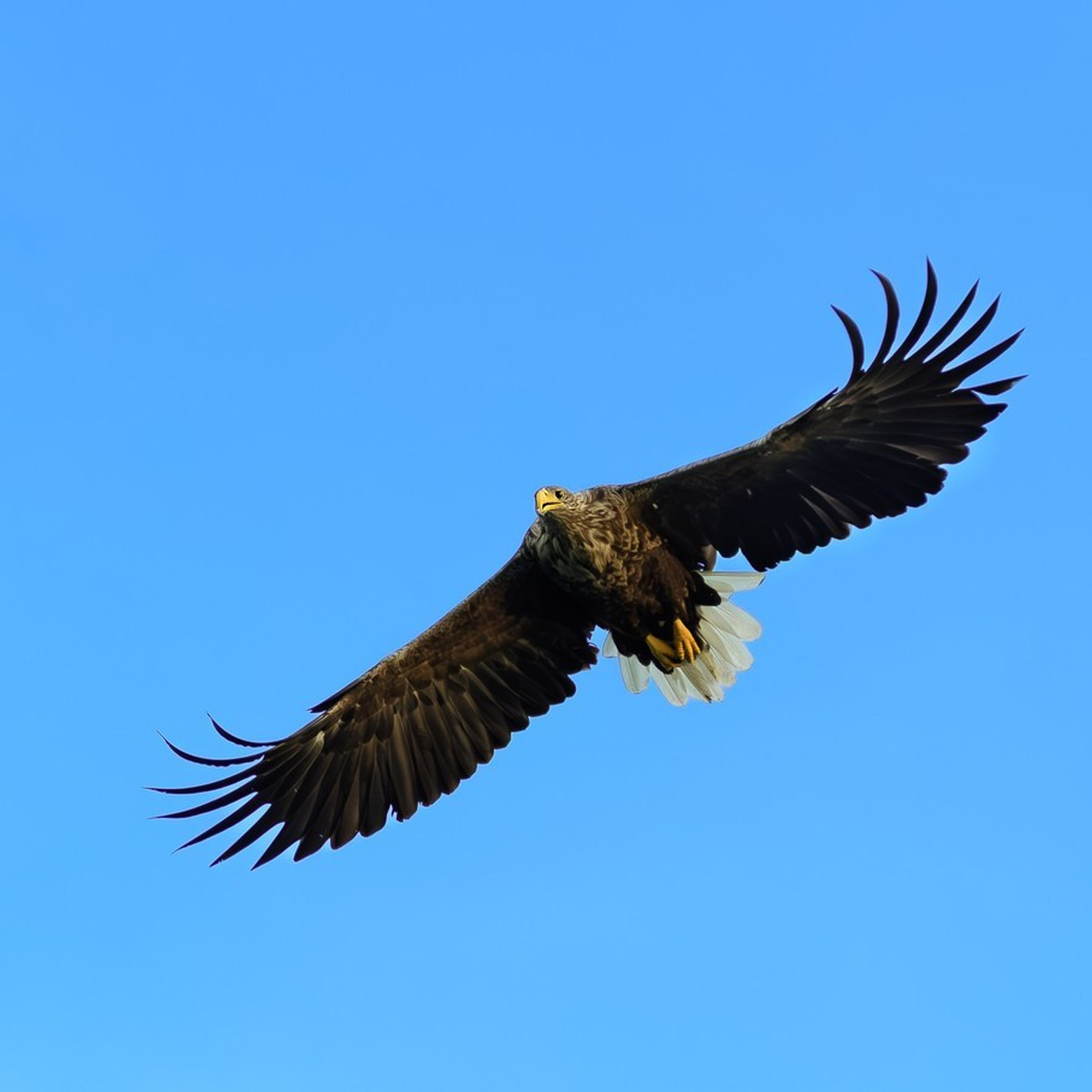 Referenzen. Klausenburg Photography