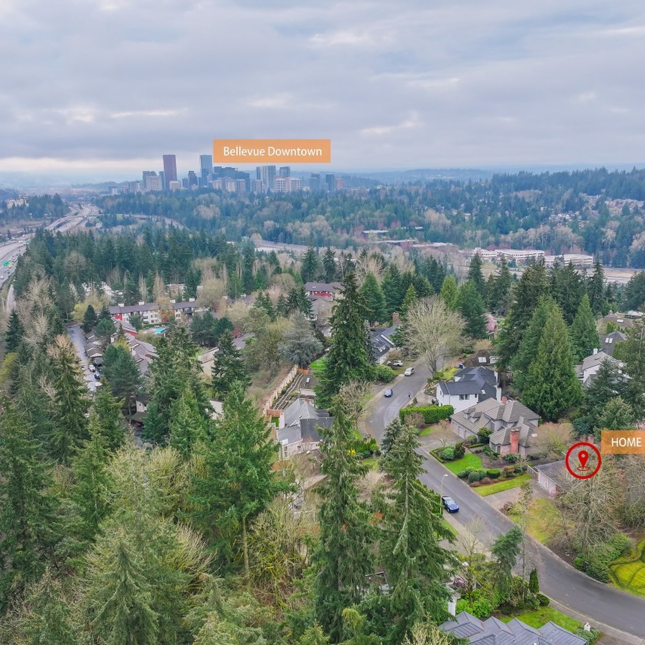 Testimonials. Joanna Jin Photography