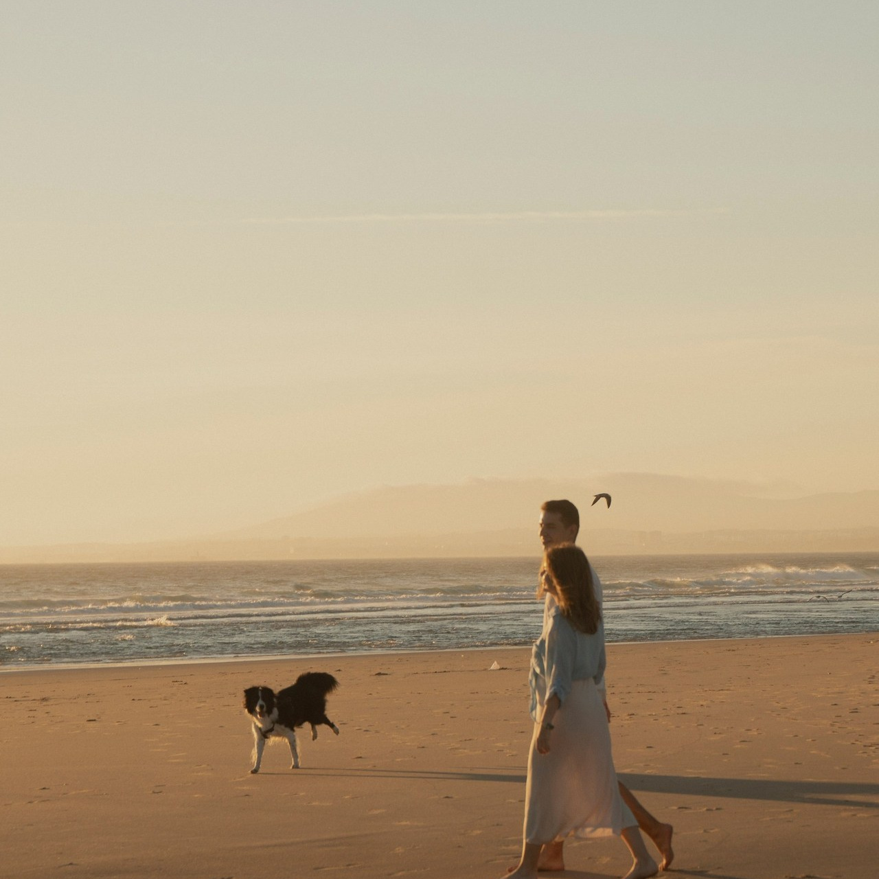 Reviews. Lisbon Event Photographer