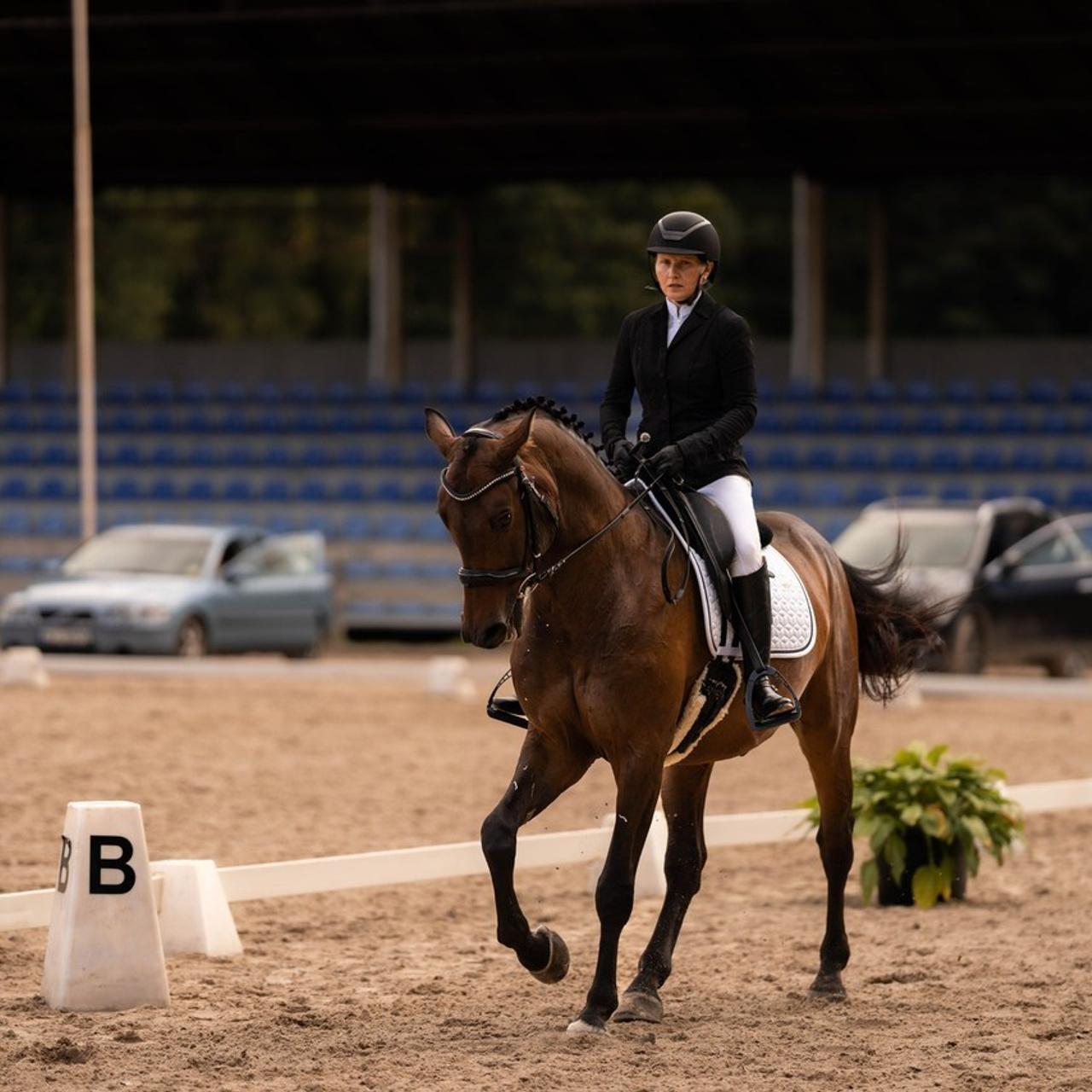 Your feedback. Sports and portrait photographer in Riga