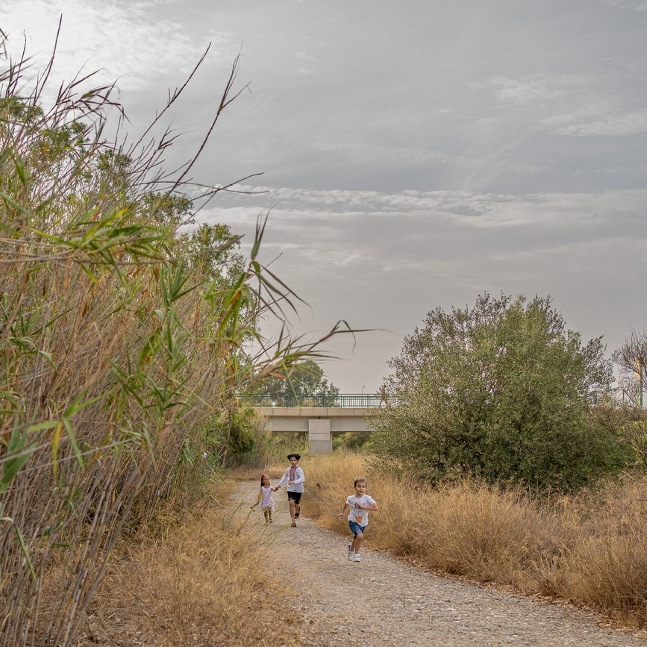 Testimonios. Fotógrafo de bodas y familias en España, Málaga, Marbella