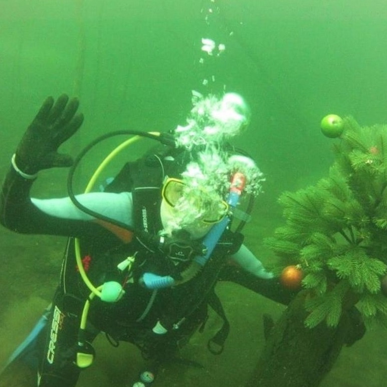 Reviews of videographer Denis Moiseev (Moiseevvideo)