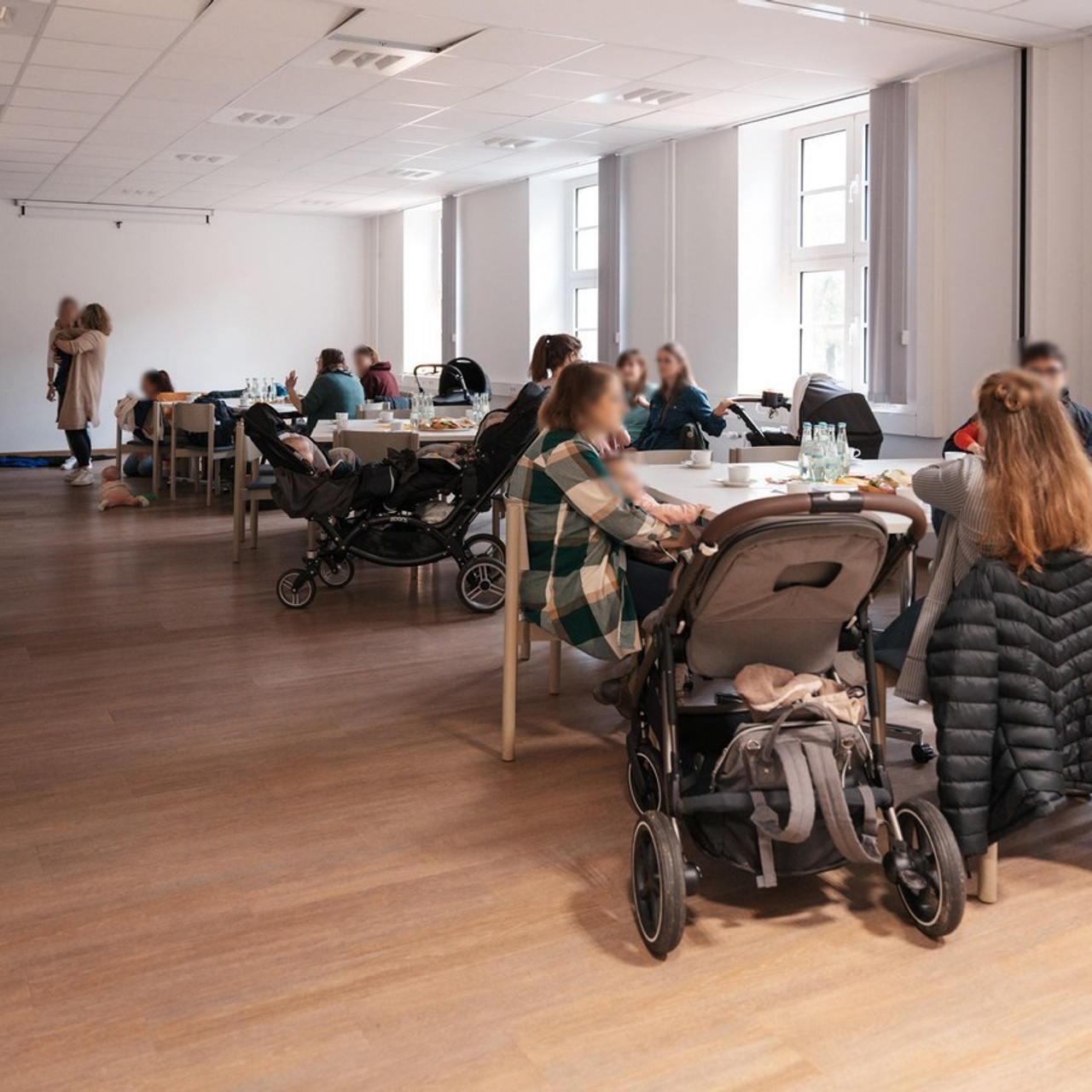 Feedbacks. Elena Seewald