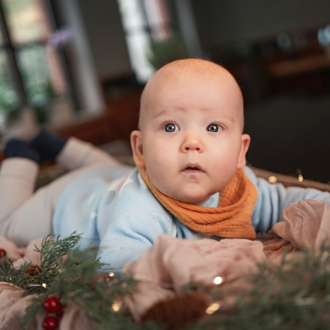 Feedbacks. Elena Seewald