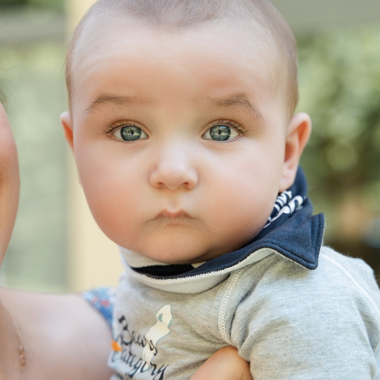 Feedbacks. Elena Seewald