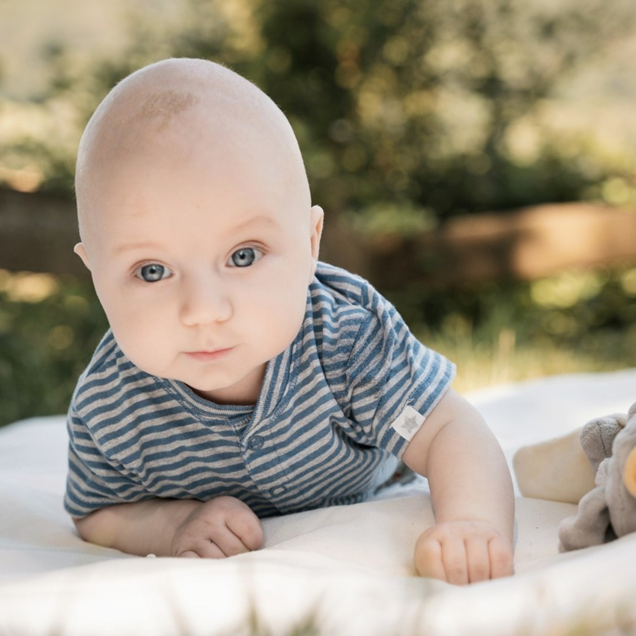 Feedbacks. Elena Seewald