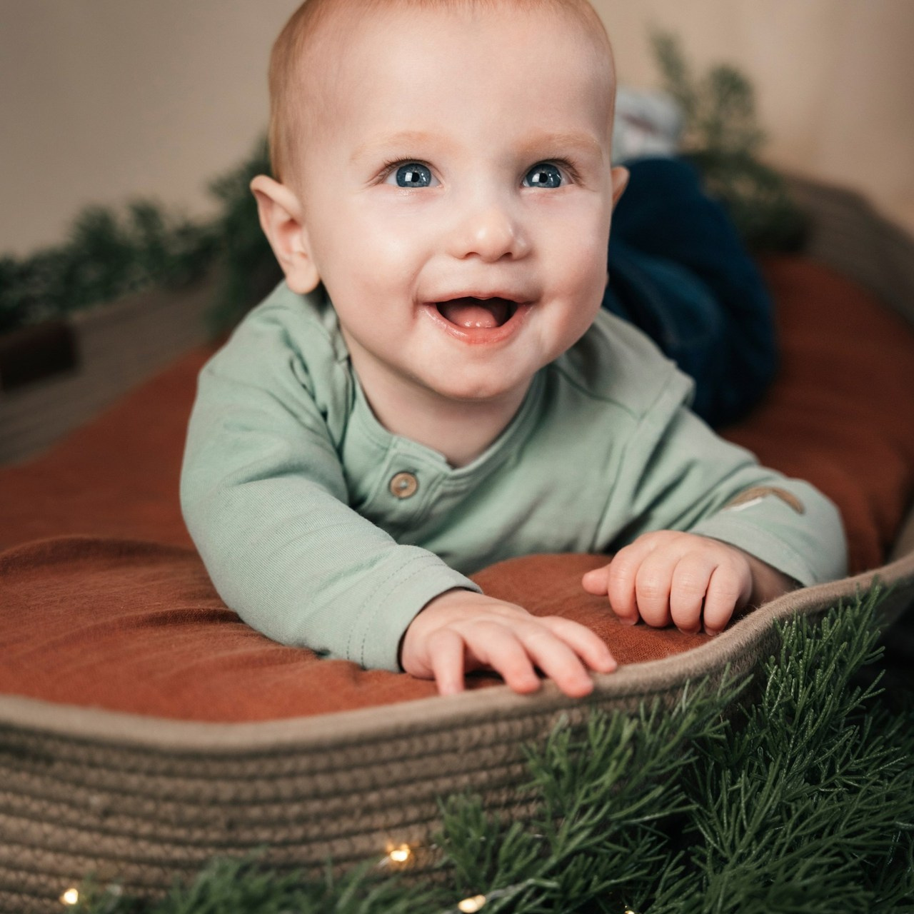 Feedbacks. Elena Seewald