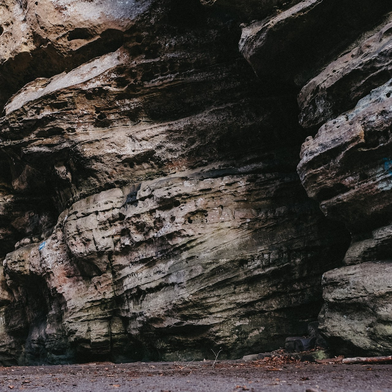 Feedbacks. Elena Seewald