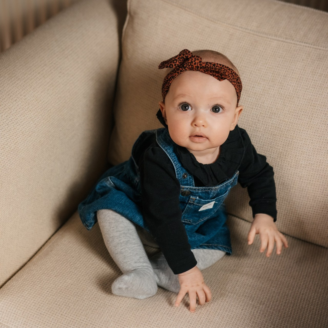 Feedbacks. Elena Seewald