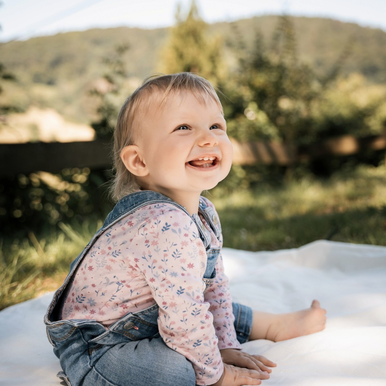 Feedbacks. Elena Seewald