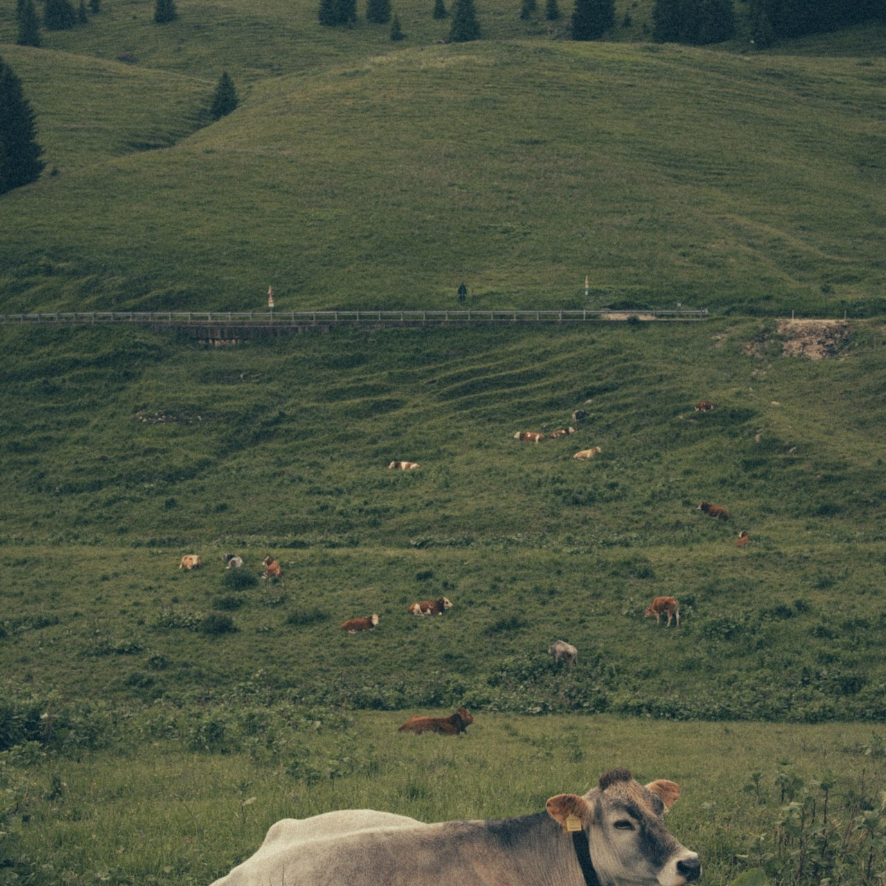 Recensioni. Fotografo a Venezia
