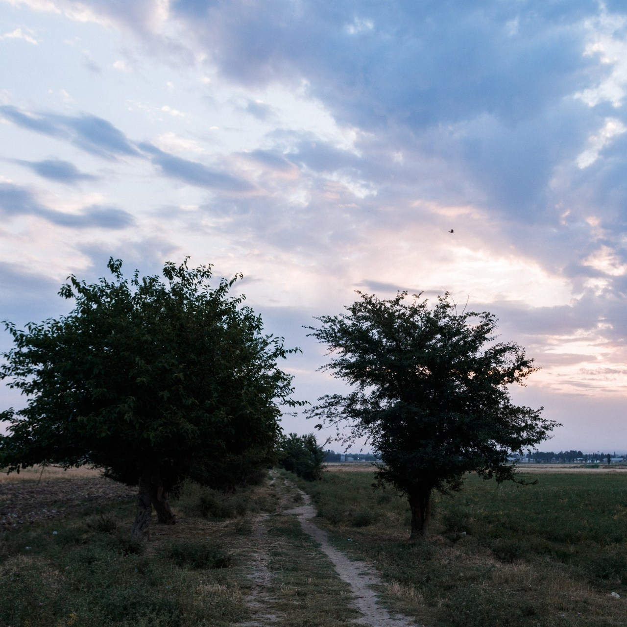 Отзывы. Портретный фотограф Нигинахон Исматуллаева в Ташкенте