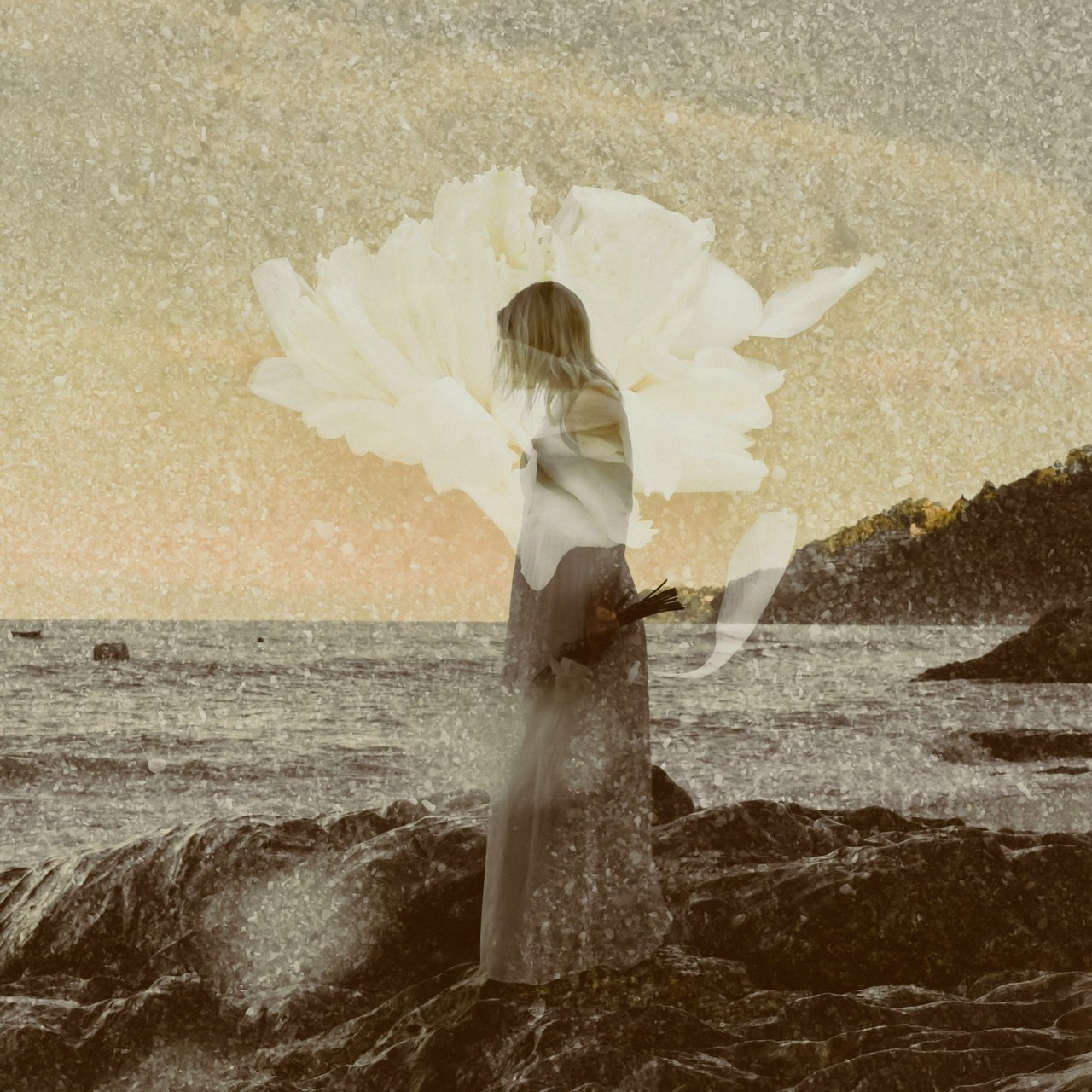 Testimonials. Photographer, photo artist Alena Novgorodtseva