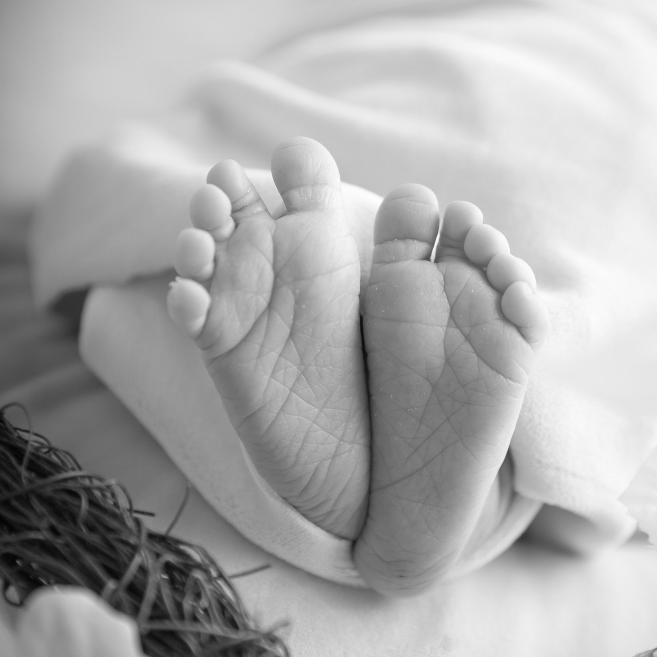 Reviews. Marina Pravda Photography San Francisco Bay Area