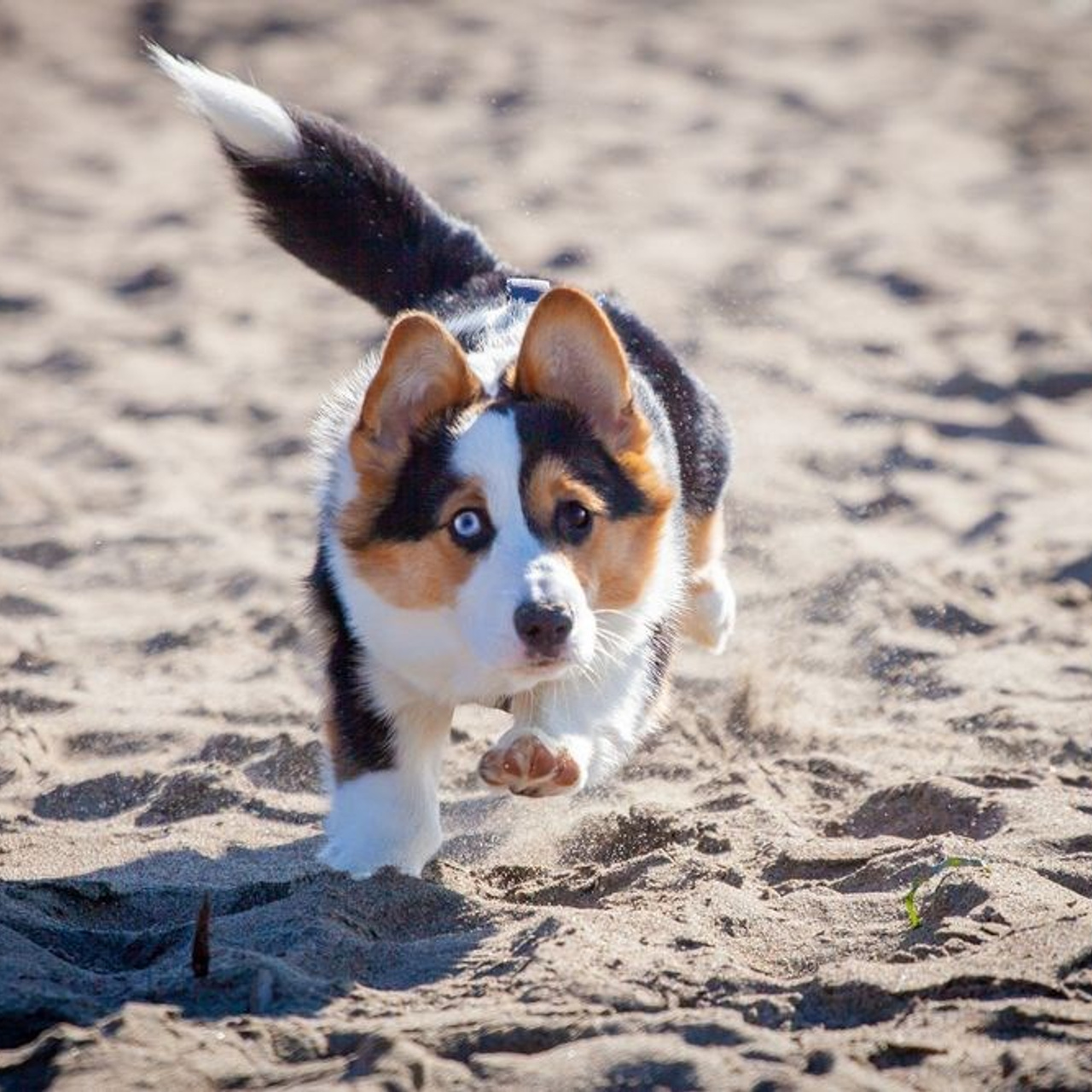 Reviews. Marina Pravda Photography San Francisco Bay Area