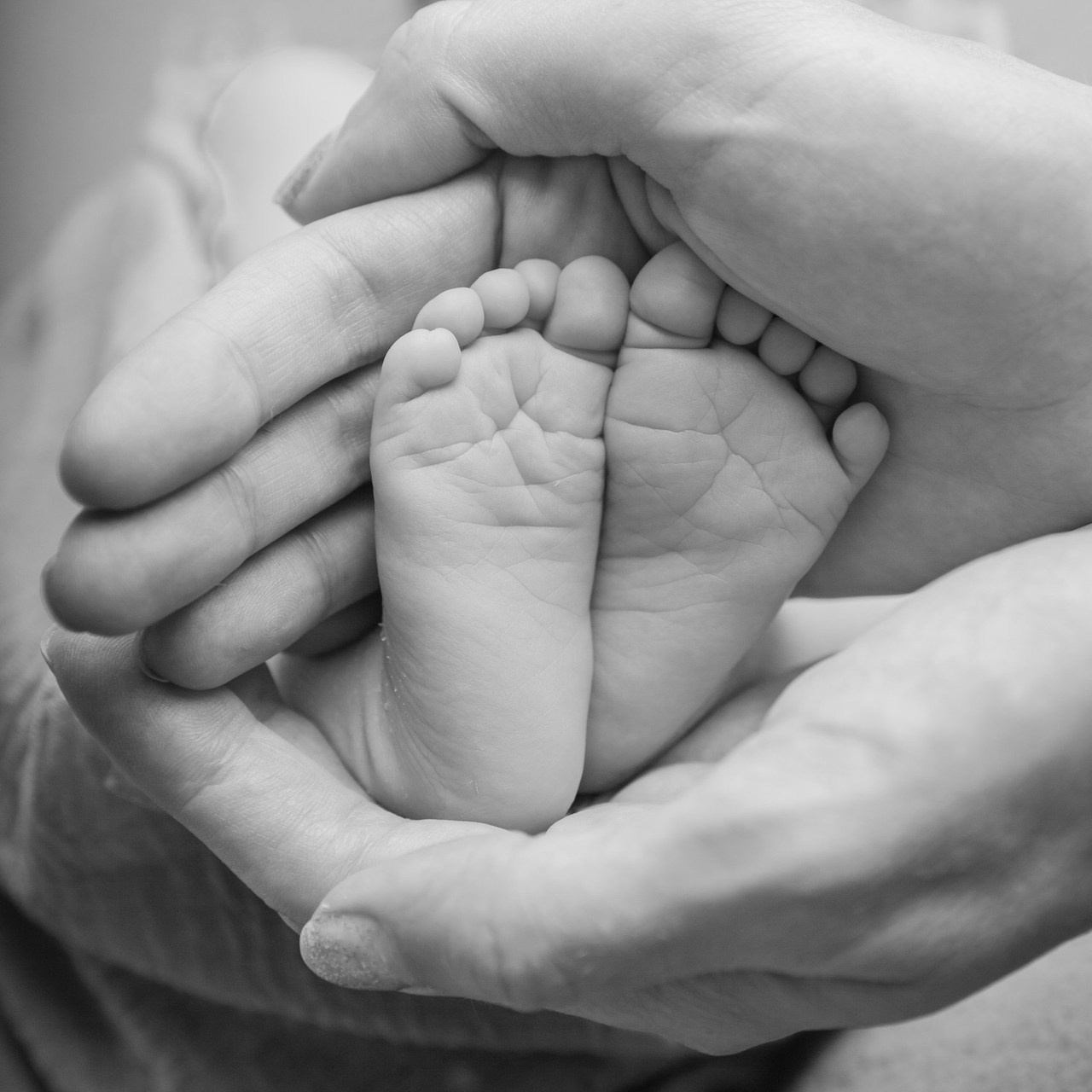 Reviews. Marina Pravda Photography San Francisco Bay Area