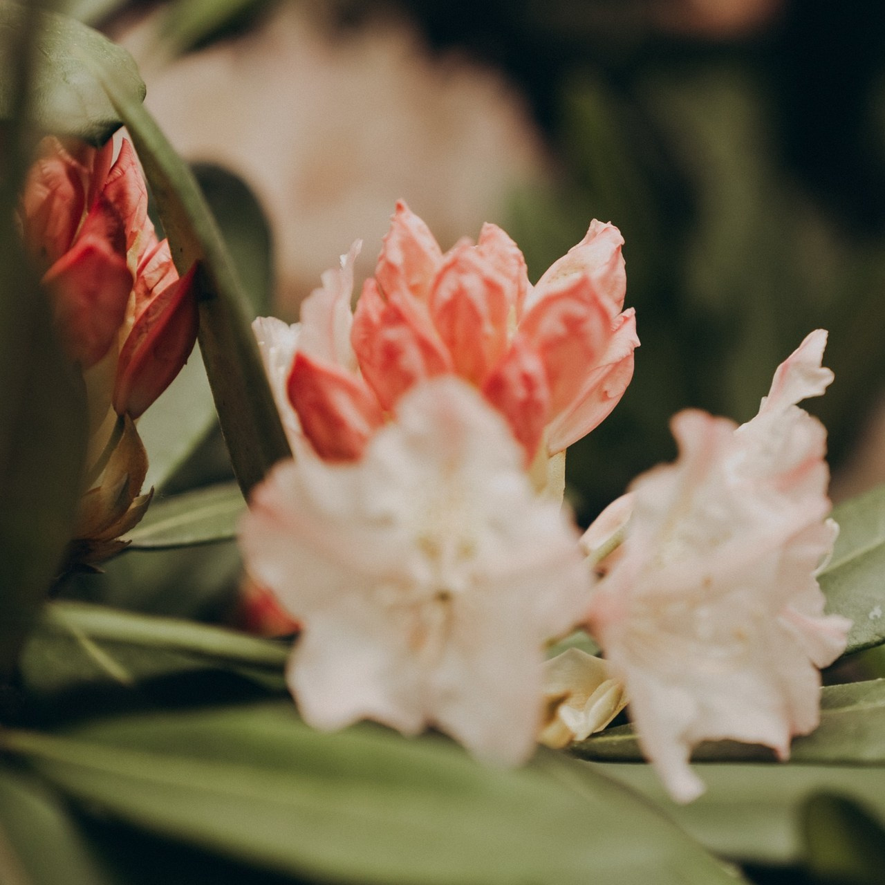 Feedbacks. Wedding Photographer in Helsinki, Finland | Aigul Photography