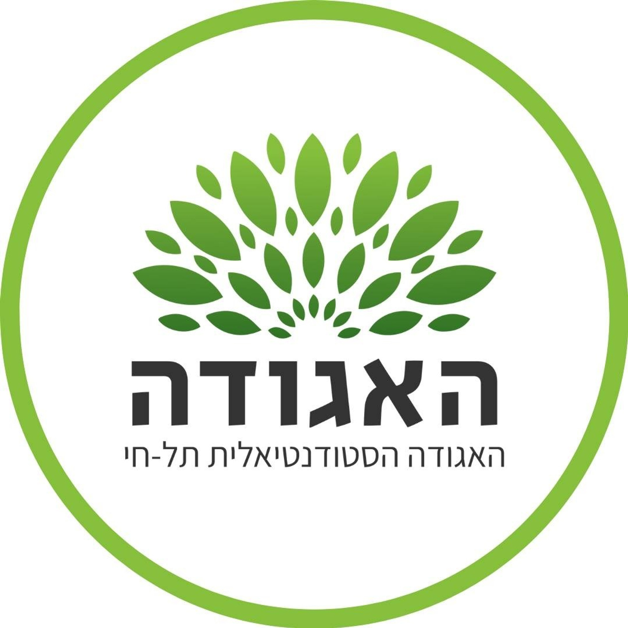 המלצות. יותם שחר צילום ועריכה