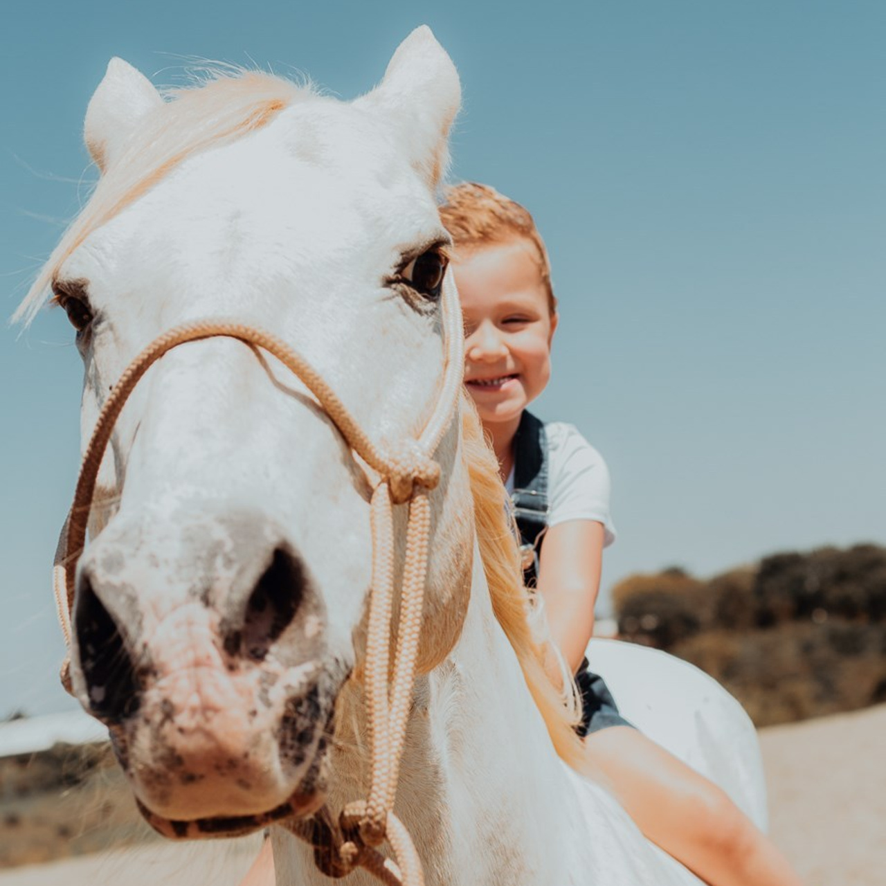 Ensaio de Família e Infantil em Holambra | Joyce Maria Fotografia. Joyce Maria Fotografia | Fotógrafa em Holambra