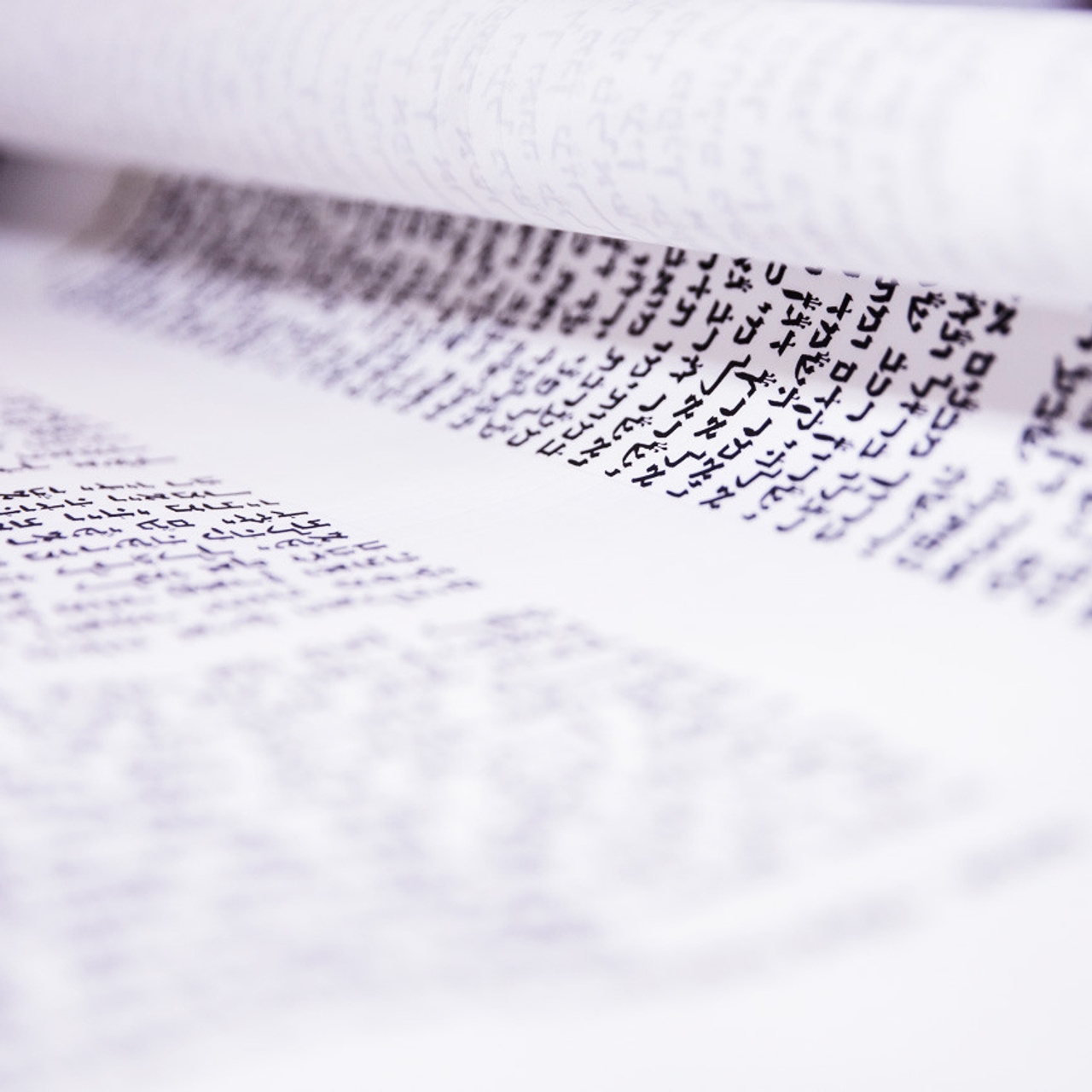 Вручение рукописной библии еврейскому центру в Шанхае