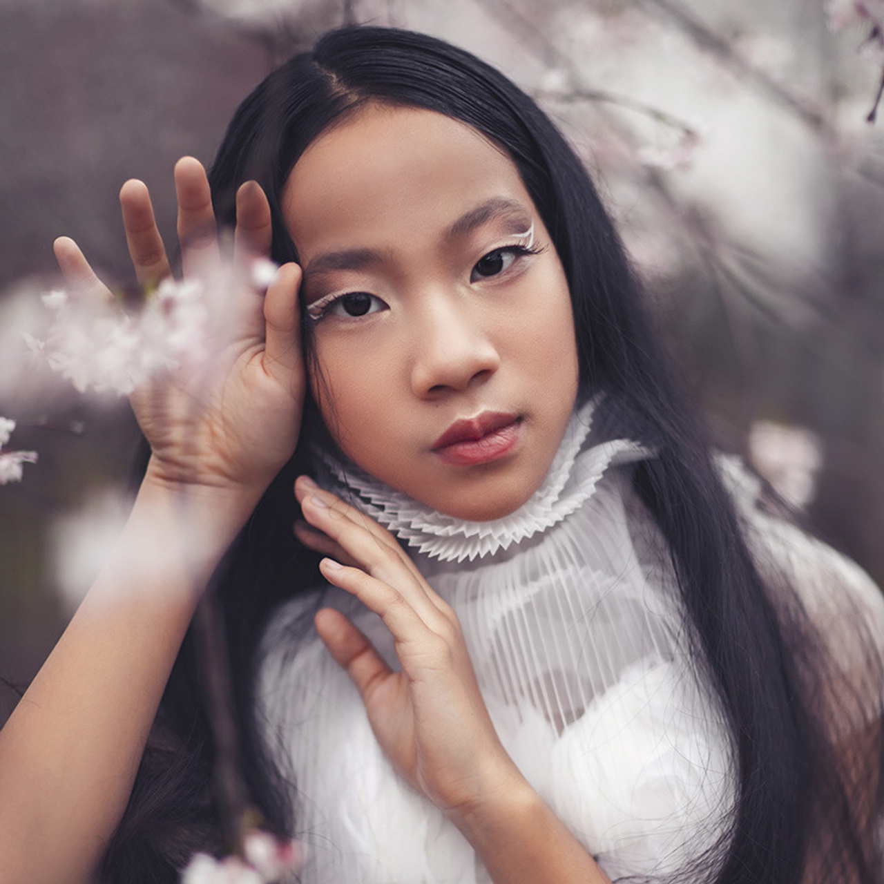 Цветение сакуры