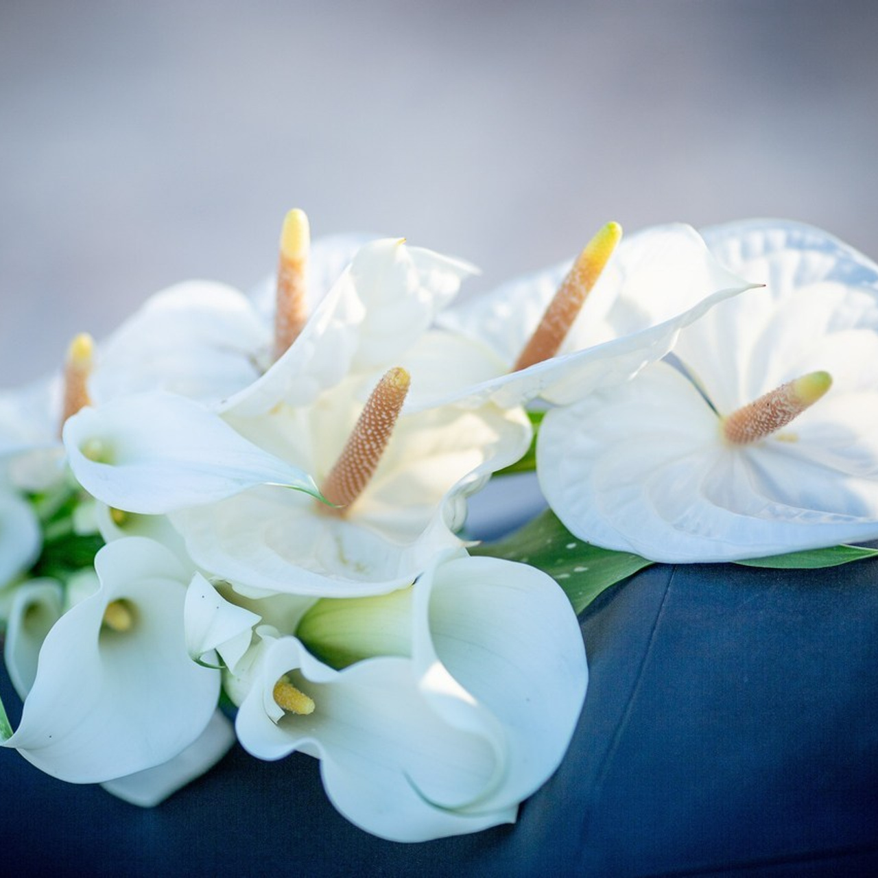 Avis. Photographe et photothérapeute à Nice et sur la Côte d’Azur — Katherine Grape