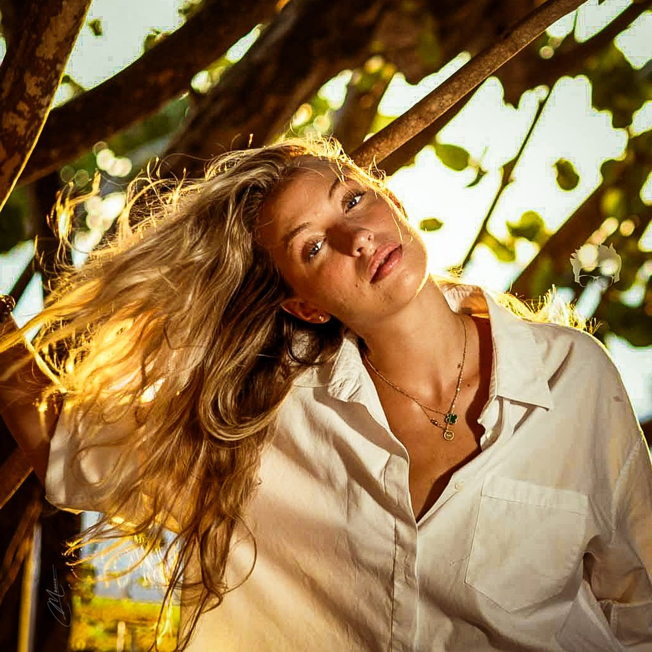 Portraits — Assorted