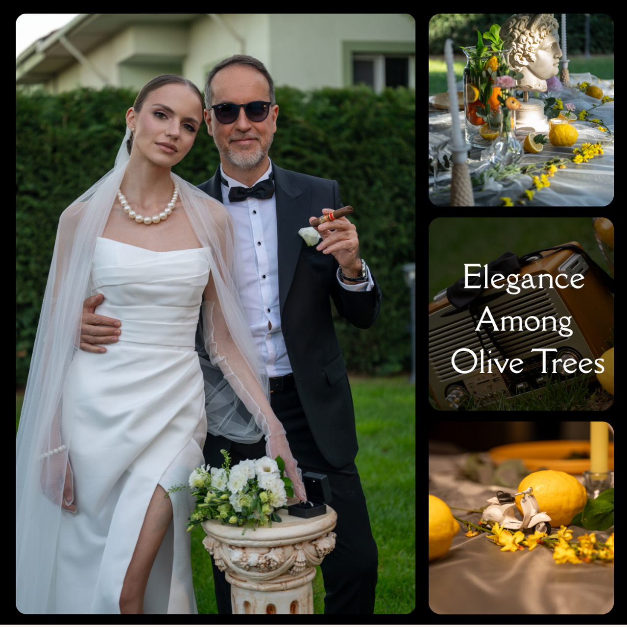 Elegance Among Olive Trees