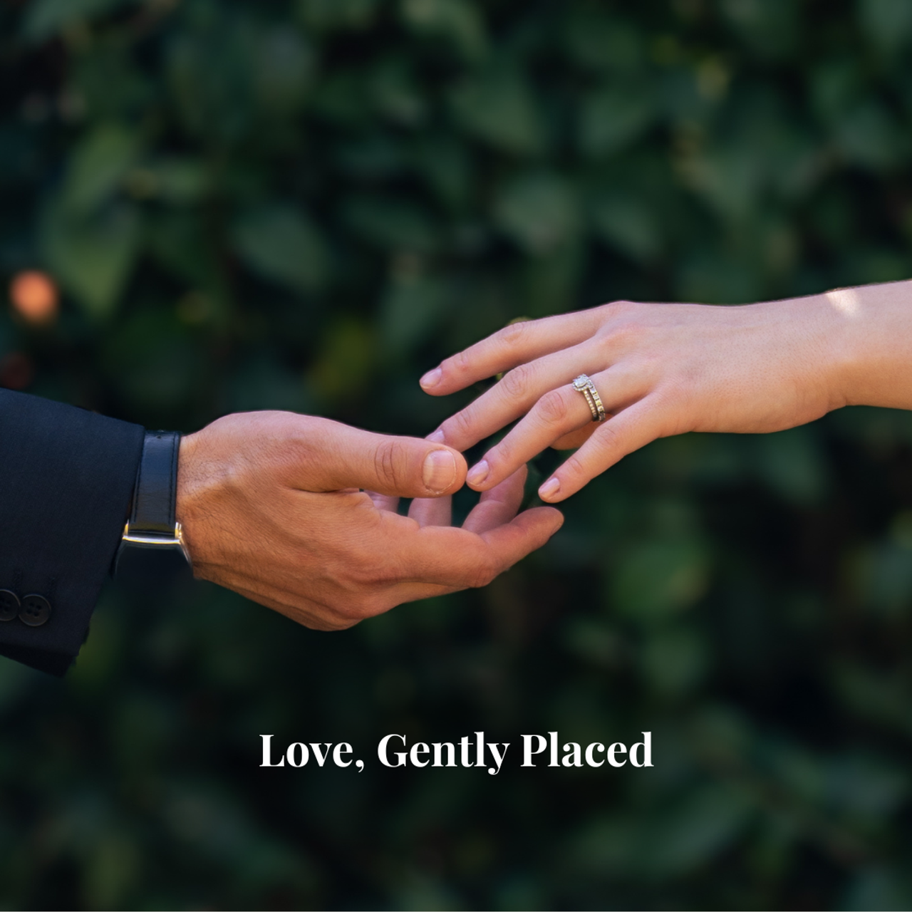 Love, Gently Placed