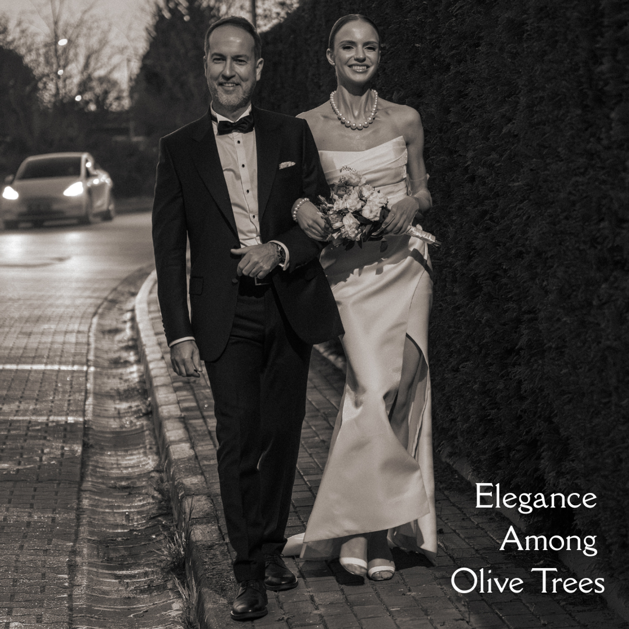Elegance Among Olive Trees