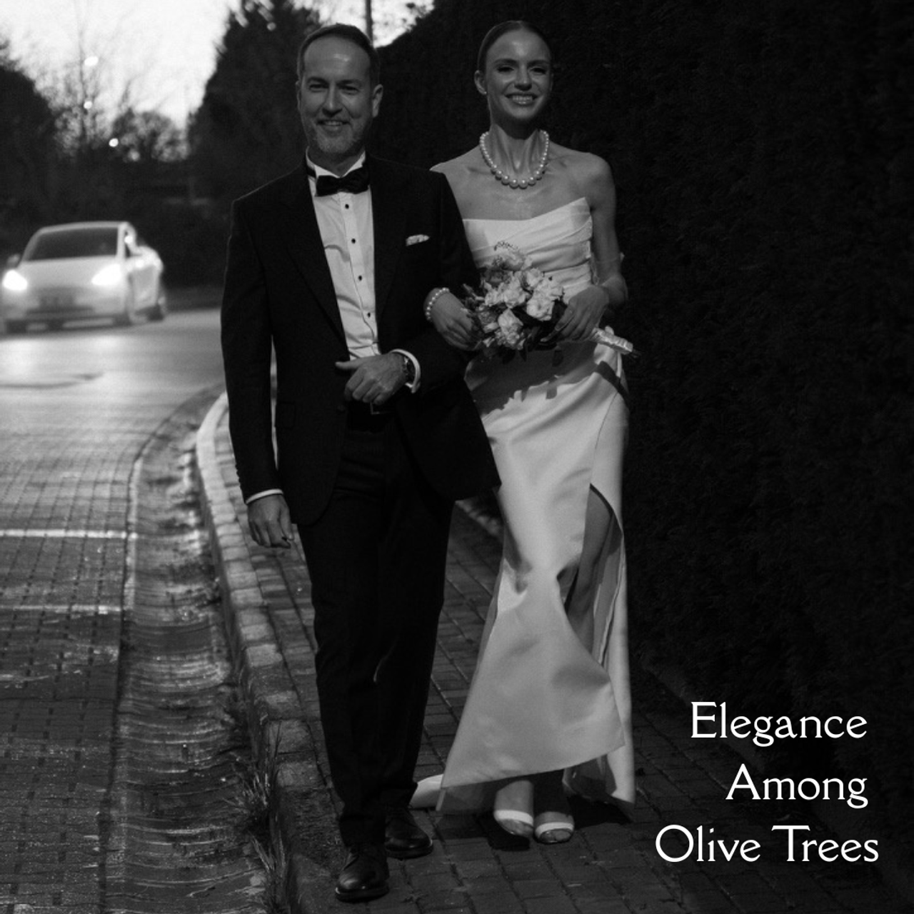 Elegance Among Olive Trees