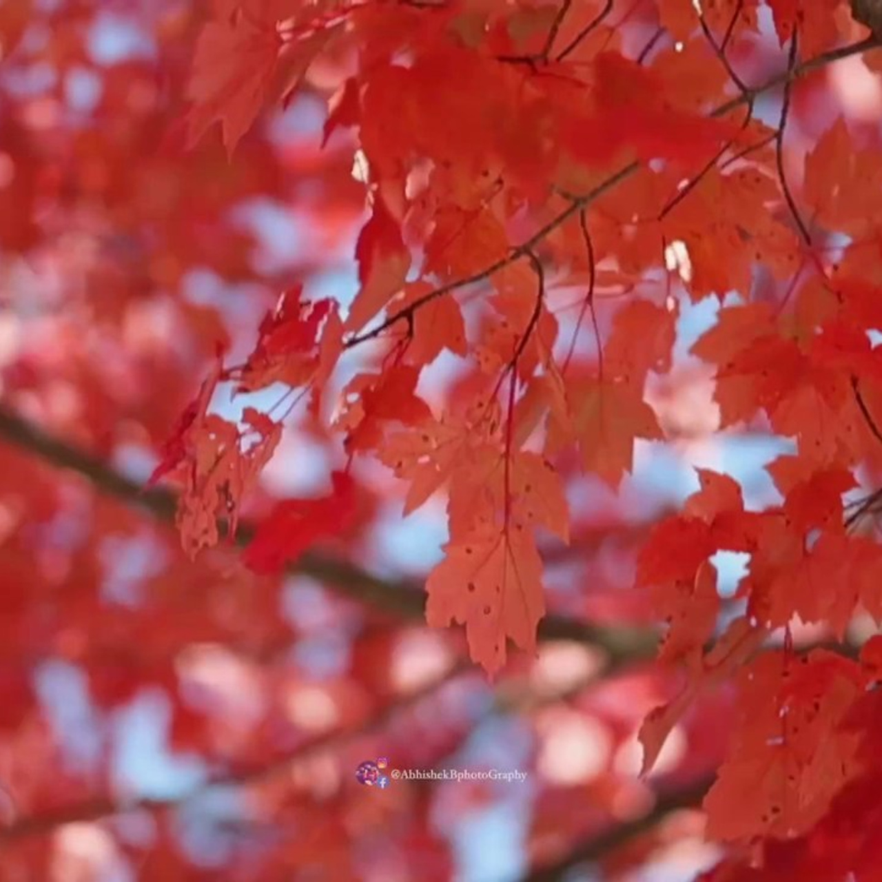 AB’s Photography Team — Boston Wedding Photographers & Cinematographers