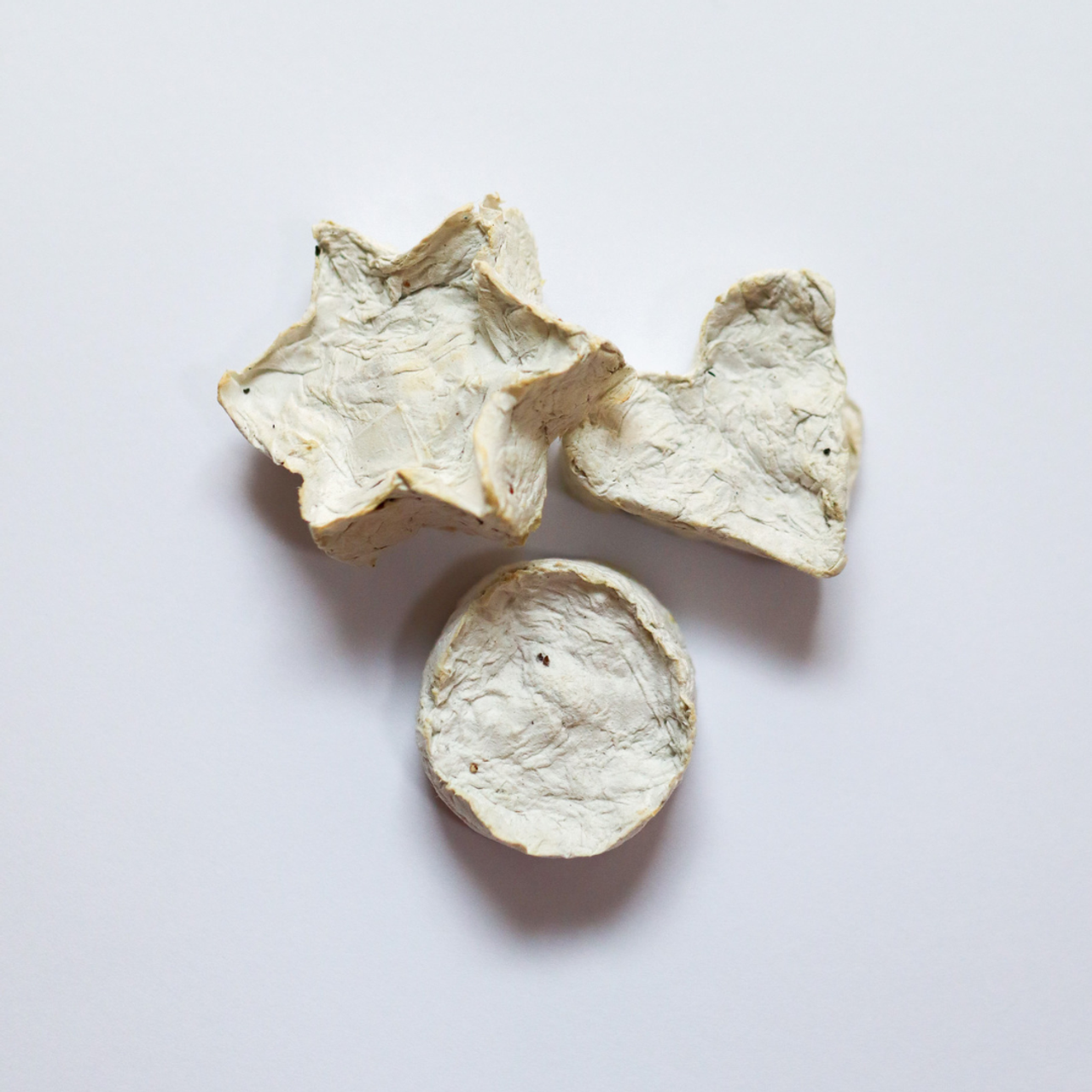 Client Feedback. Create with Twila