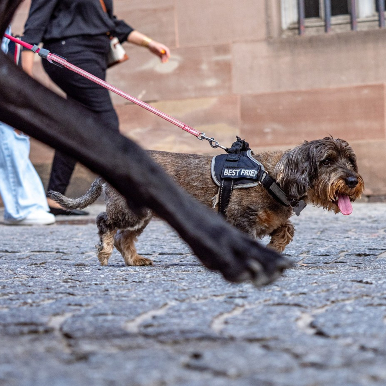 Critiques du travail du photographe. Impressions des clients. Photographe à Strasbourg | Portraits, Studio, Enfants, Événements