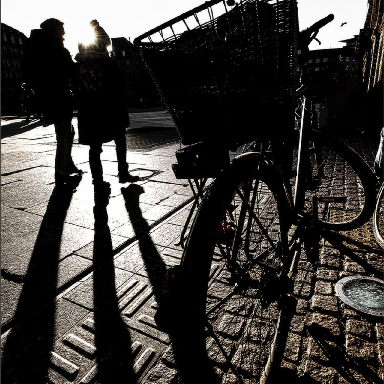 Etang gelé de l'Orangerie et ensoleillé mais froid Strasbourg. Photographe à Strasbourg | Portraits, Studio, Enfants, Événements