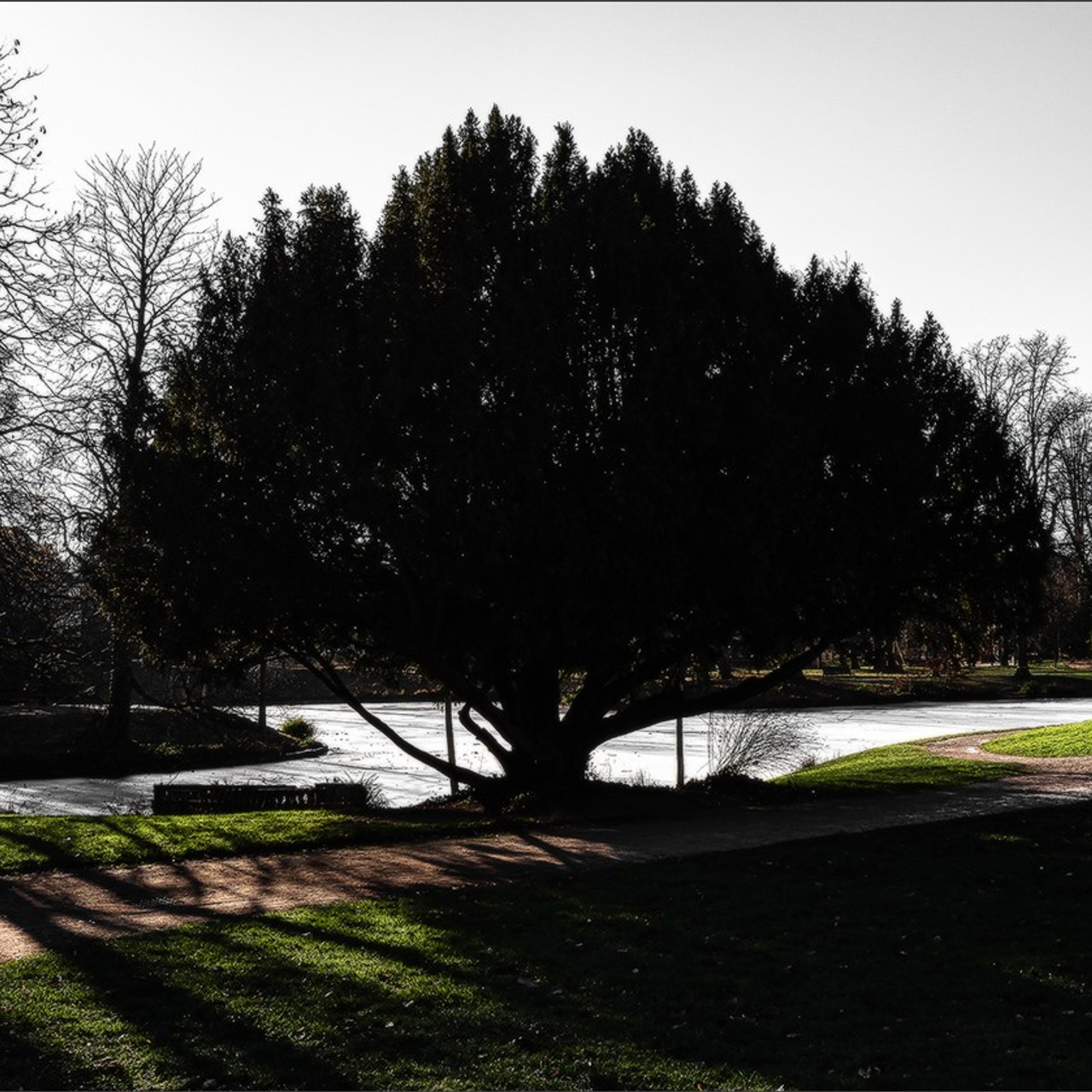Etang gelé de l'Orangerie et ensoleillé mais froid Strasbourg. Photographe à Strasbourg | Portraits, Studio, Enfants, Événements