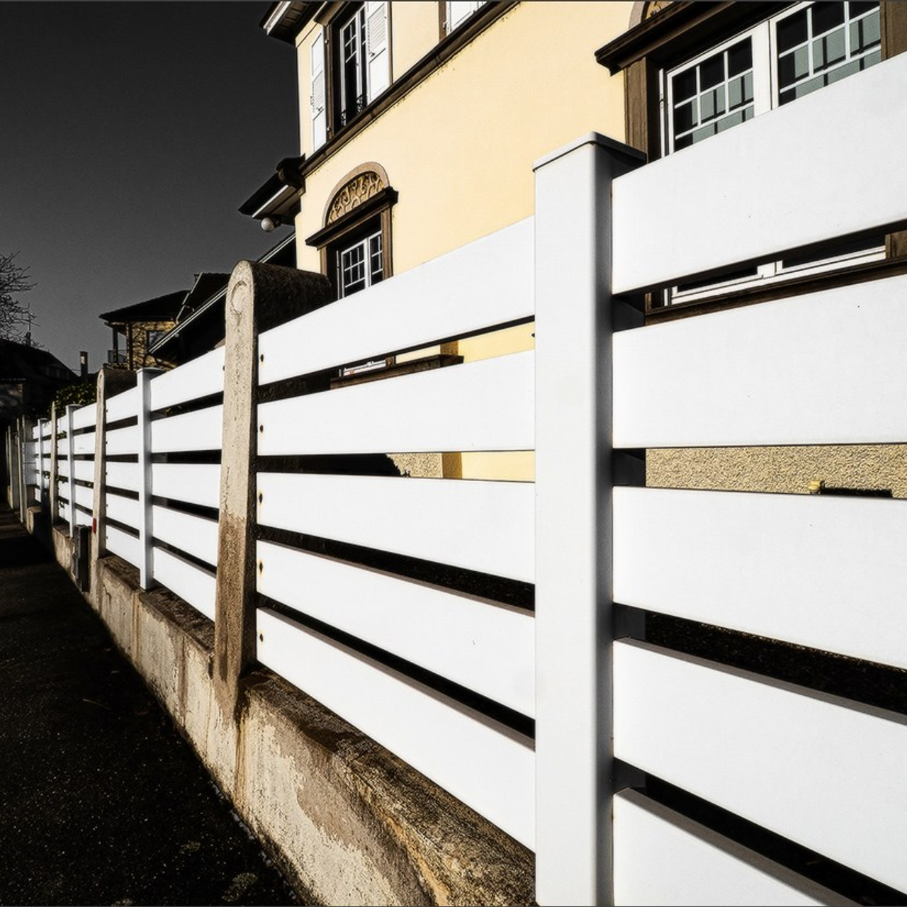 Etang gelé de l'Orangerie et ensoleillé mais froid Strasbourg. Photographe à Strasbourg | Portraits, Studio, Enfants, Événements