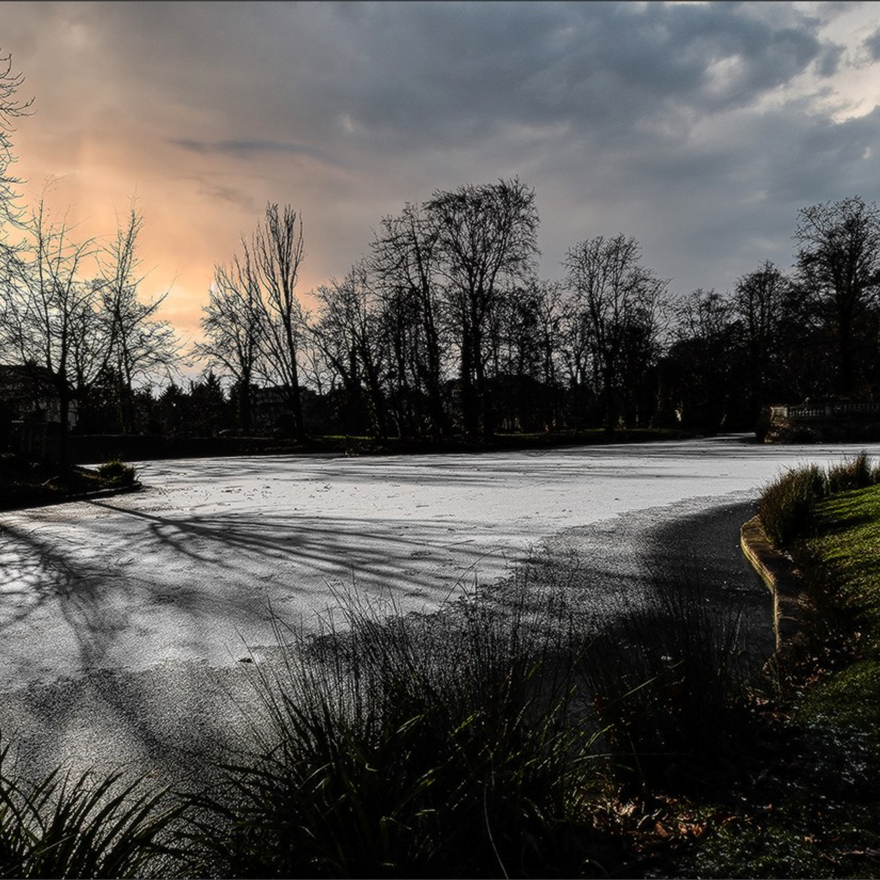 Etang gelé de l'Orangerie et ensoleillé mais froid Strasbourg. Photographe à Strasbourg | Portraits, Studio, Enfants, Événements